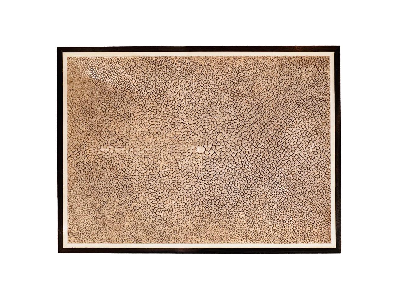 Exotische Box aus Elfenbein-Shagrin und Makassar-Ebenholz mit Knochenintarsien im Zustand „Neu“ im Angebot in New York, NY