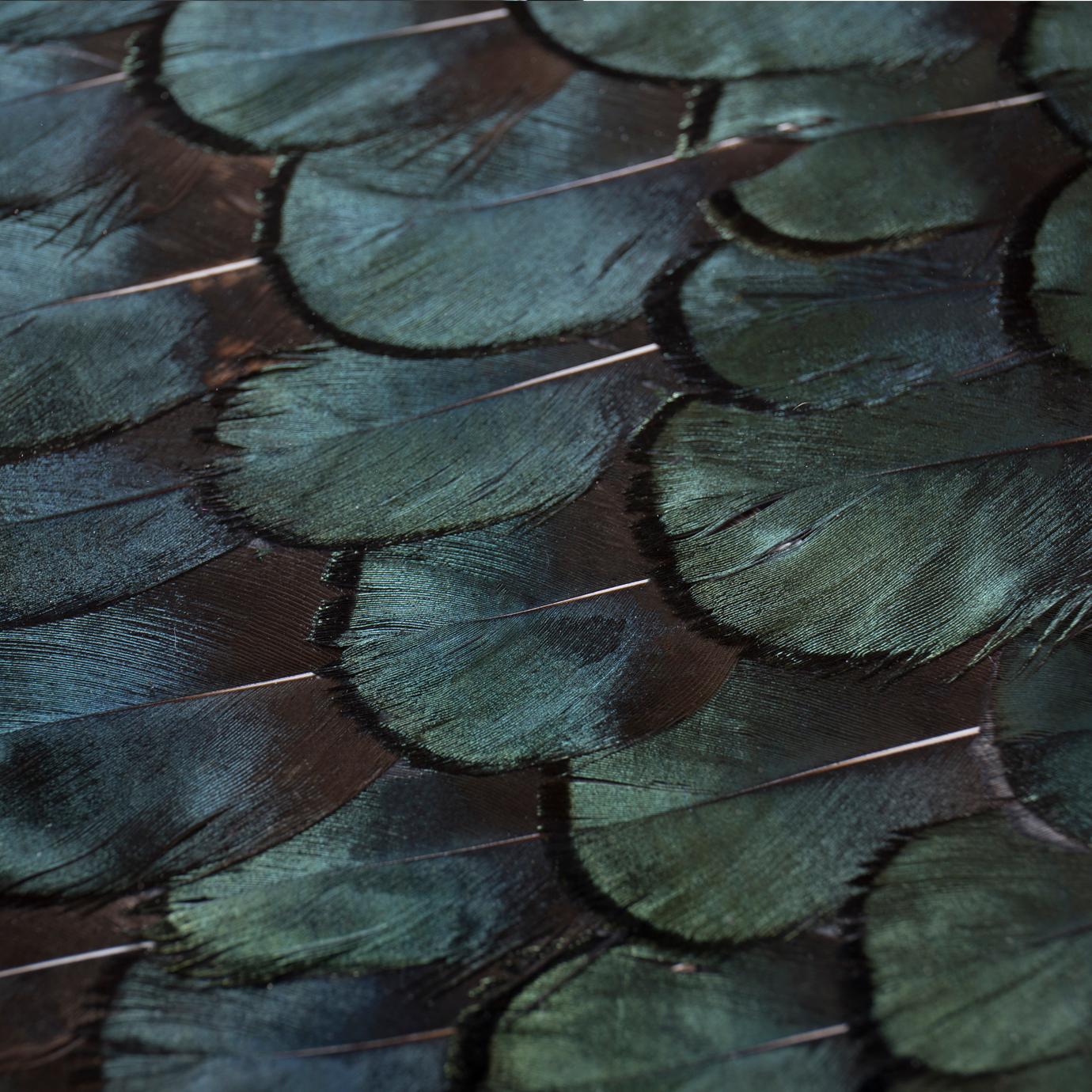 Exotic Peacock Feather Top Ormulu Desk In New Condition For Sale In Manassas, VA