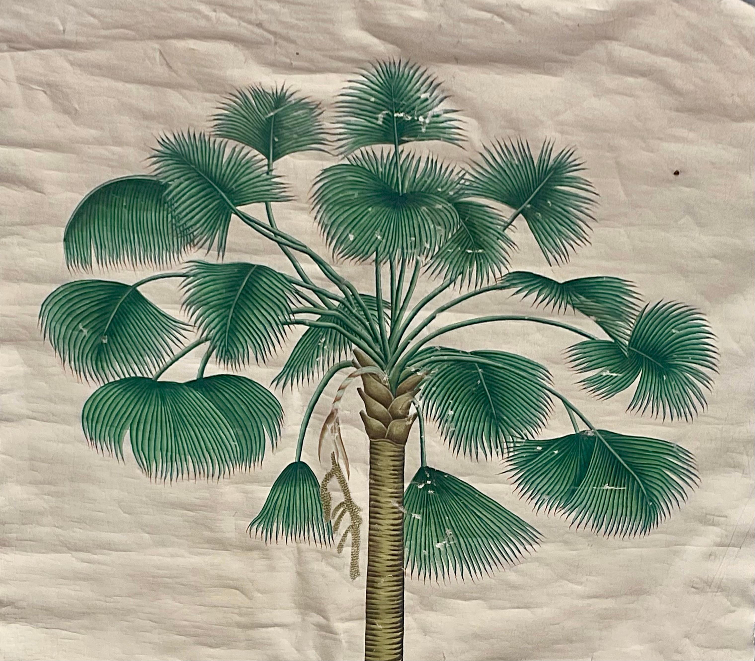 XX secolo Quadri con palme esotiche in urne, set di due grandi dimensioni in vendita