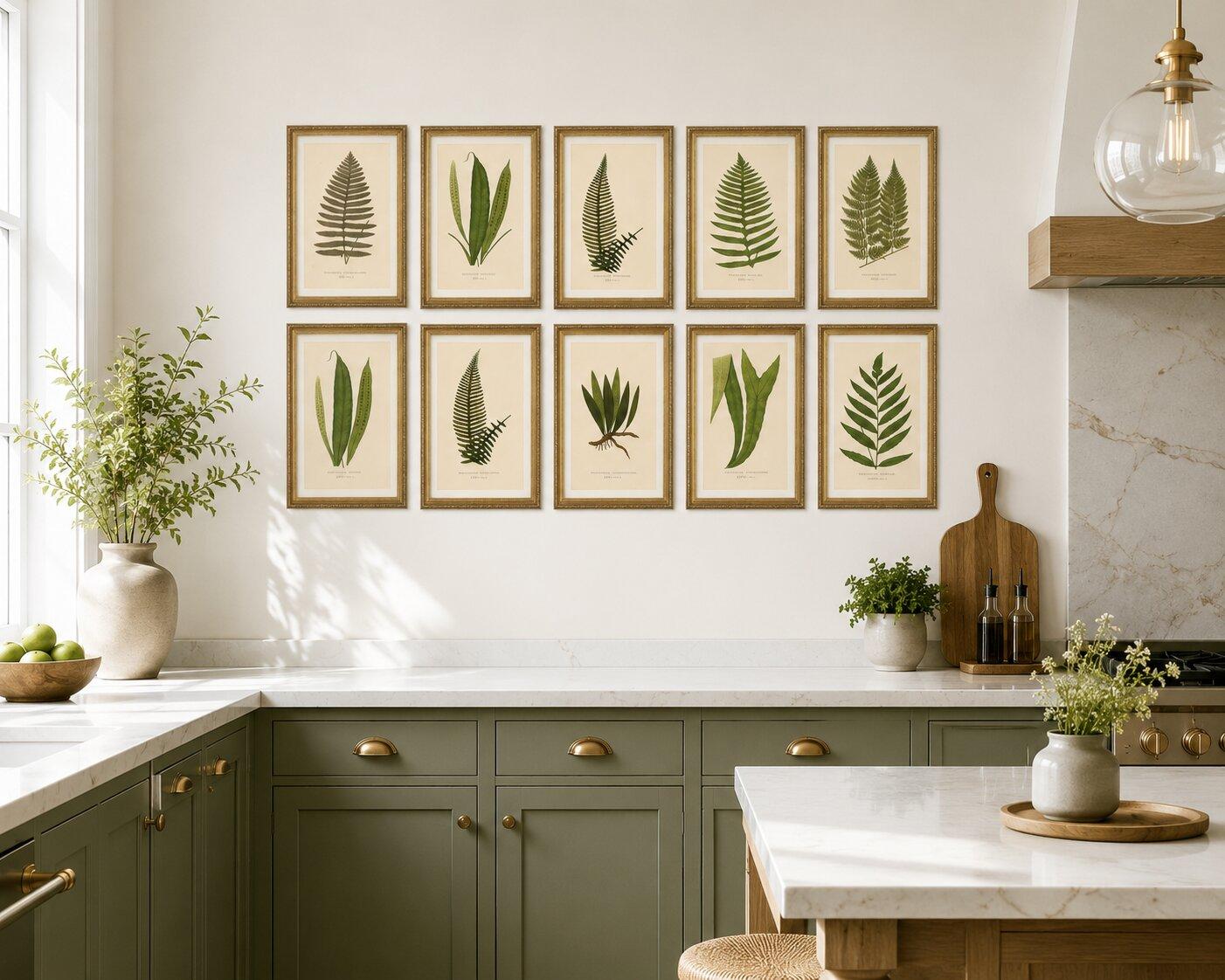 Exotic Victorian Fern Lithograph Collection with English Species Names, 1856