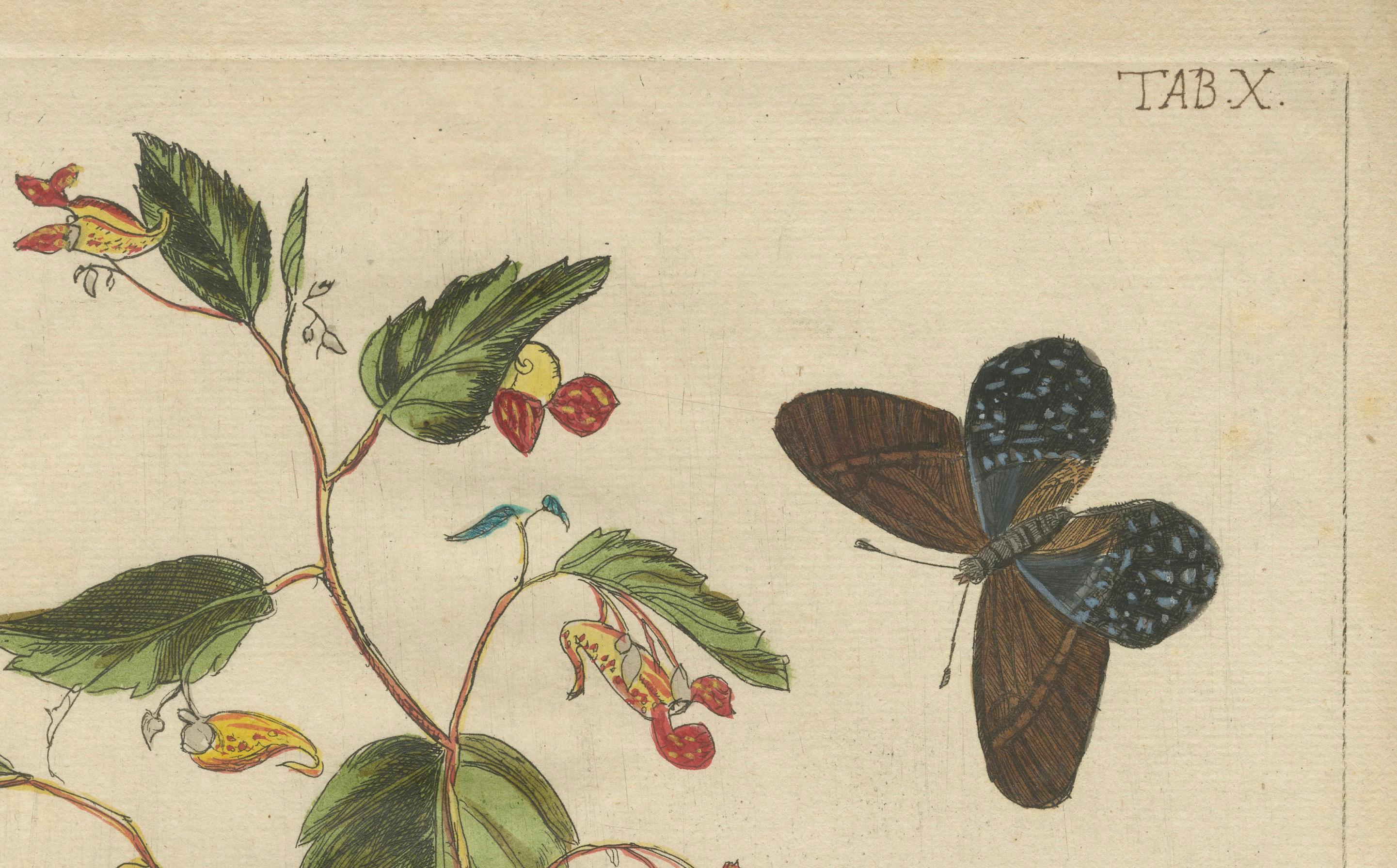 Dutch Exotic Wildflower with Butterflies – Rare Botanical Engraving by Meerburgh, 1775 For Sale