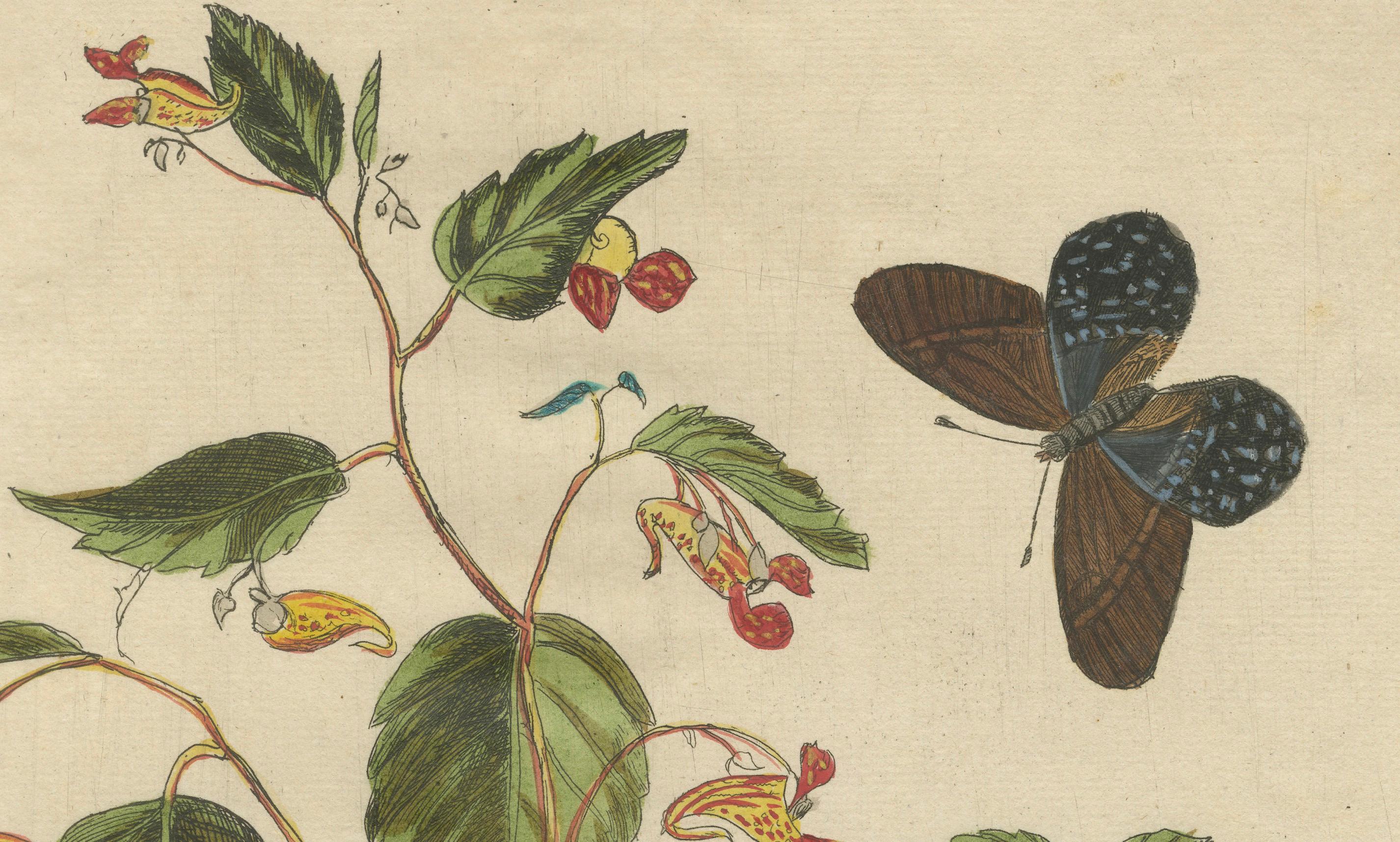 Engraved Exotic Wildflower with Butterflies – Rare Botanical Engraving by Meerburgh, 1775 For Sale