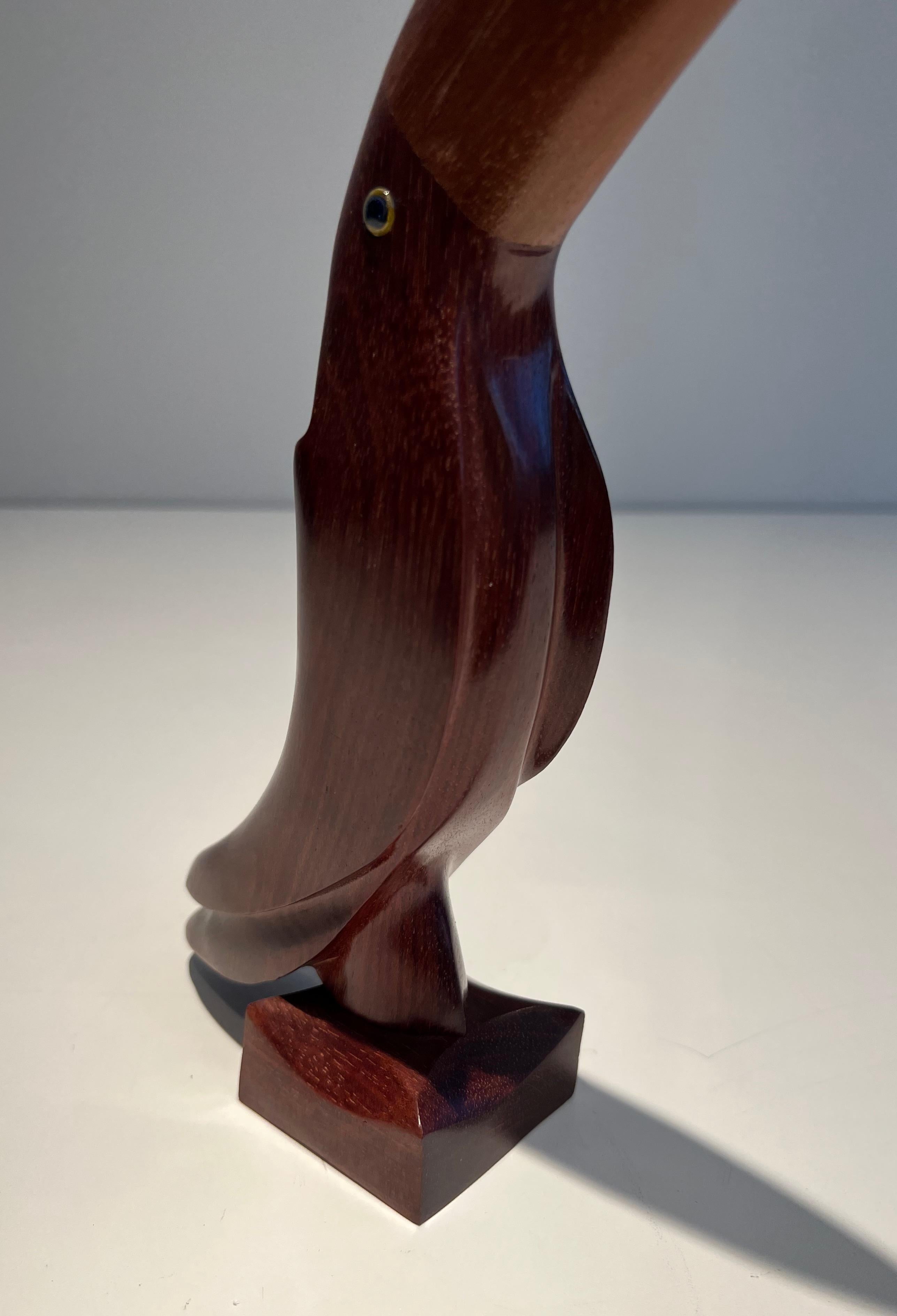 French Exotic Wood Toucan with Glass Eyes For Sale