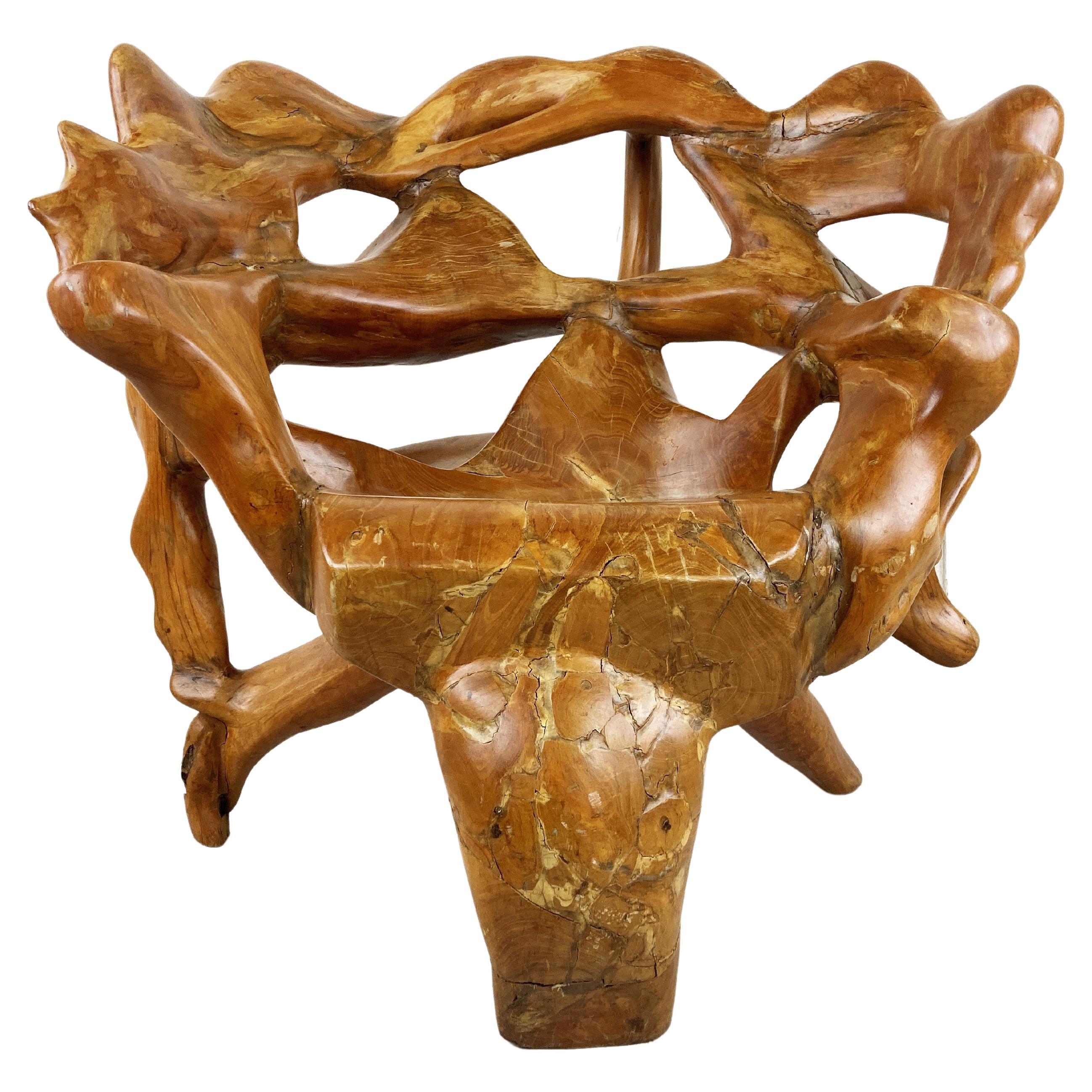 Exotic Wooden Tree Root Chair