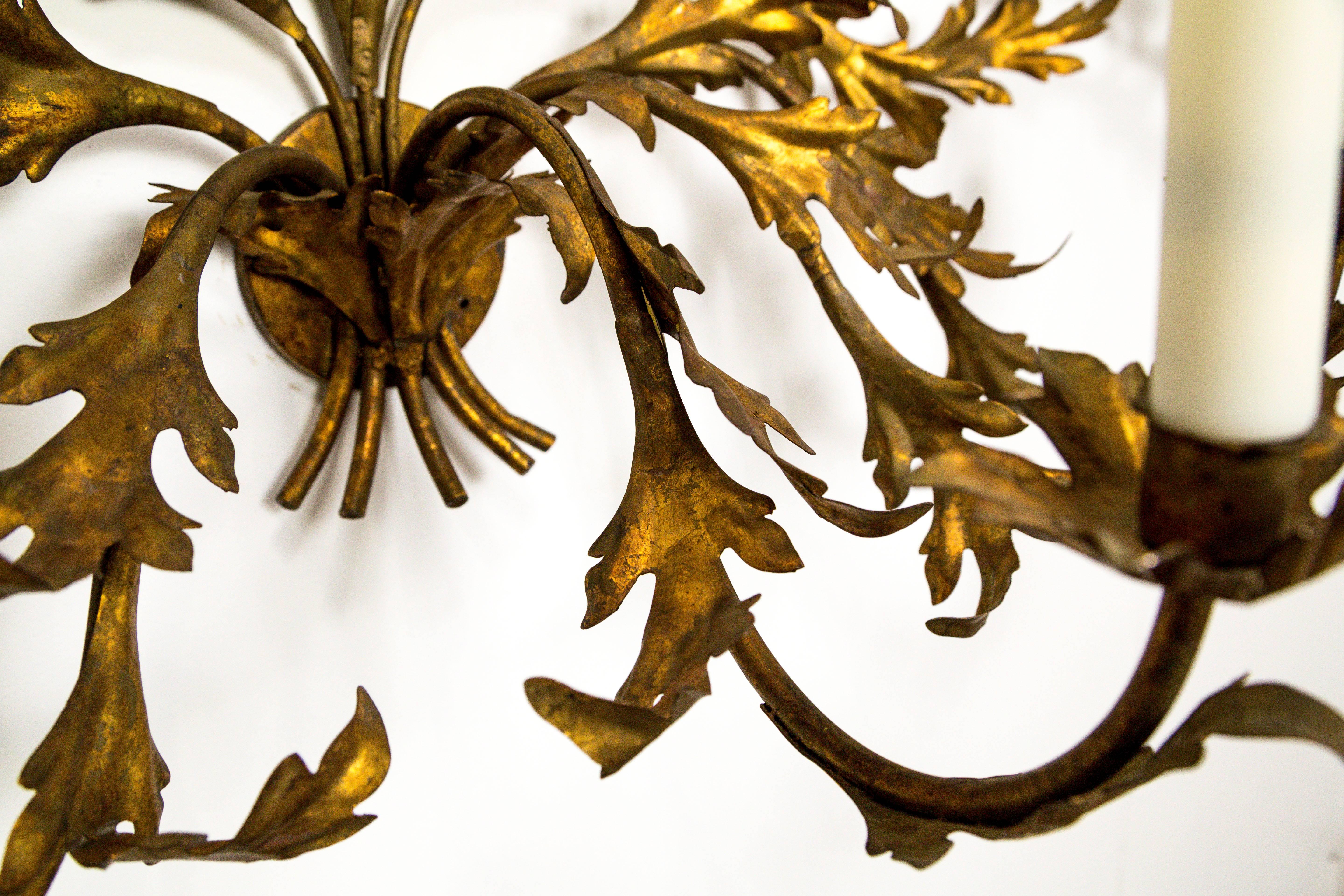 Expansive Gilded Leaves Sconce For Sale 2
