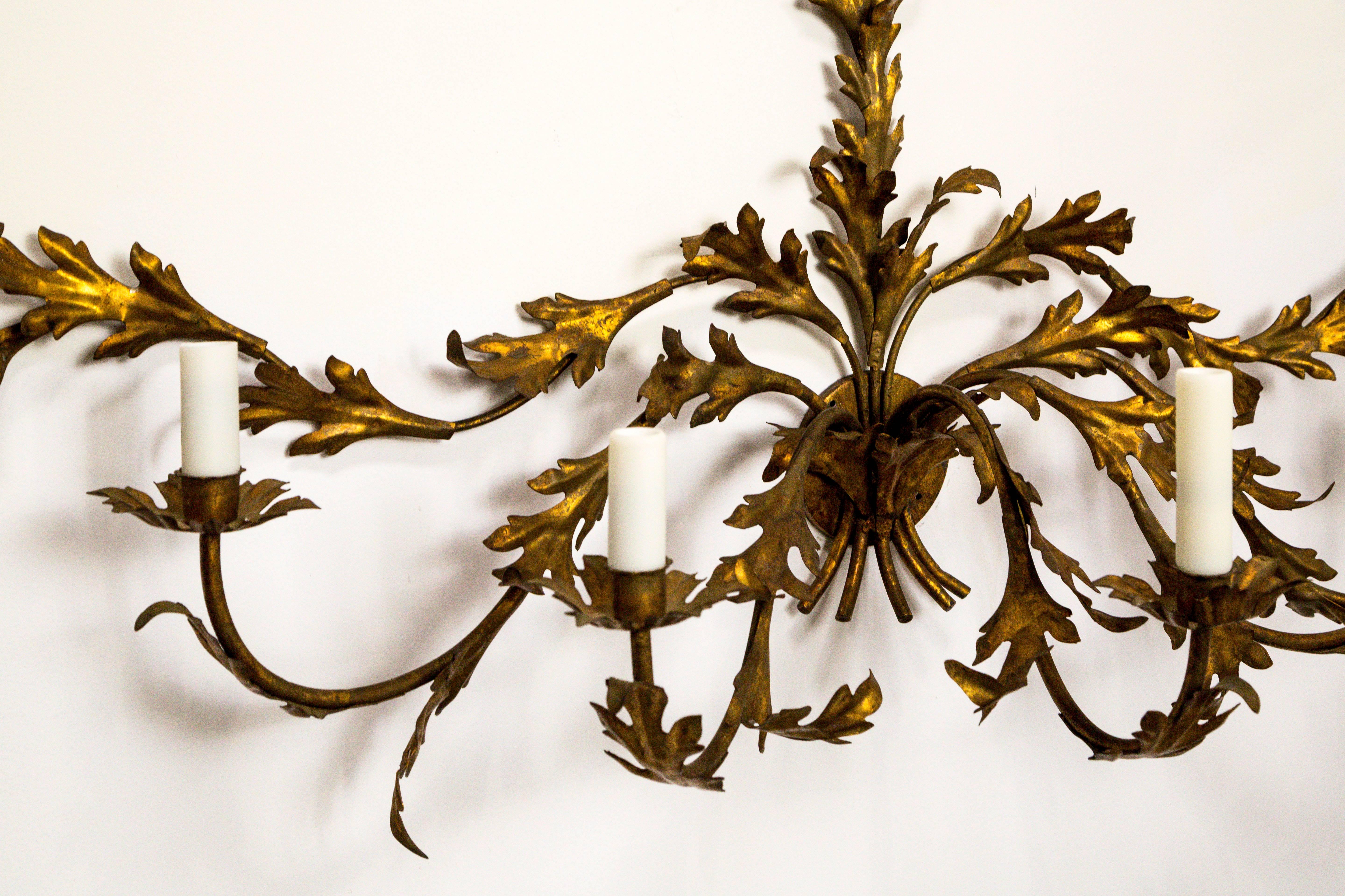 North American Expansive Gilded Leaves Sconce For Sale