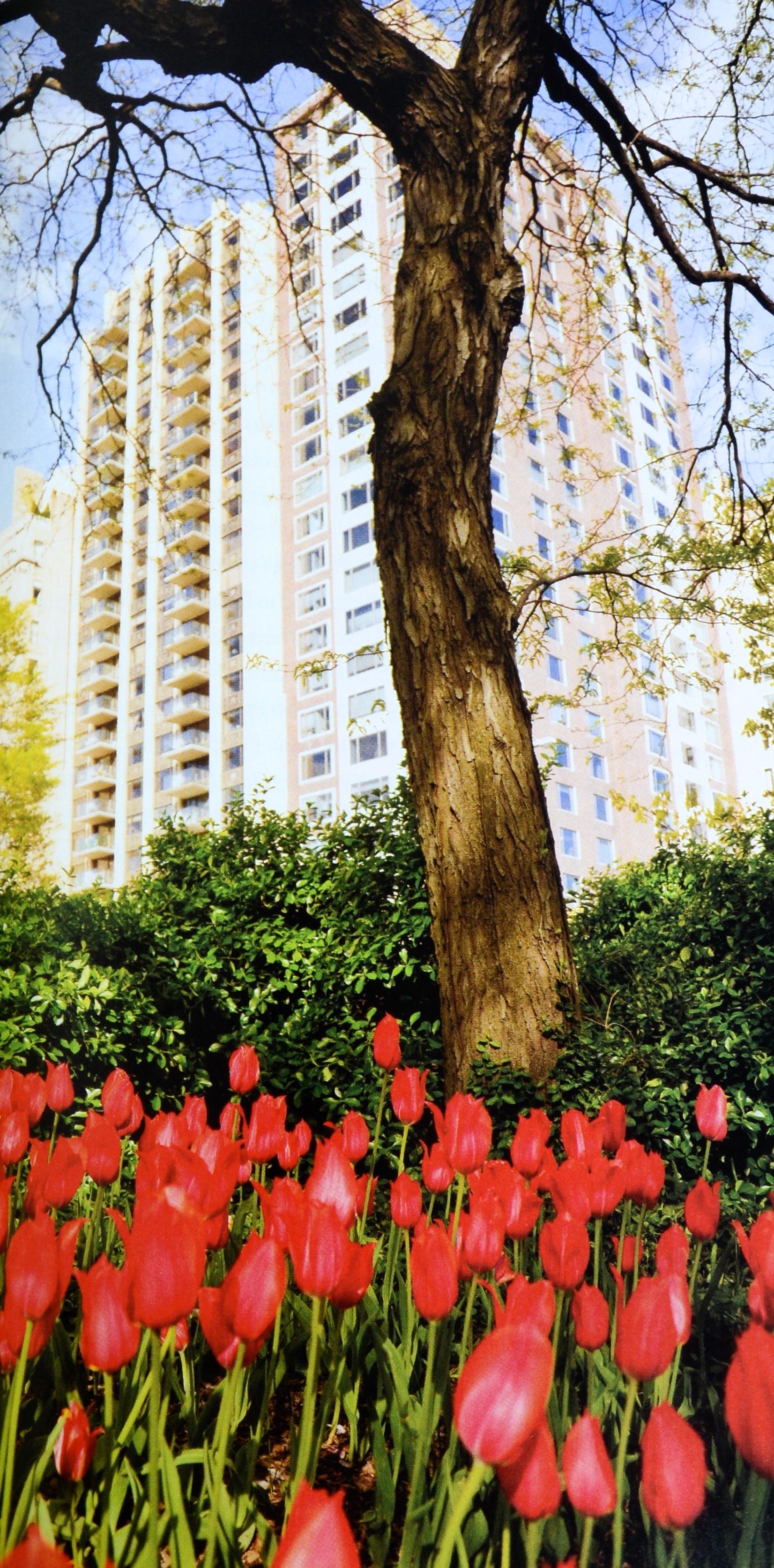 A la découverte du New York hollandais historique, NYC, Hudson Valley, NJ, &New, Signé 1ère Ed. en vente 3