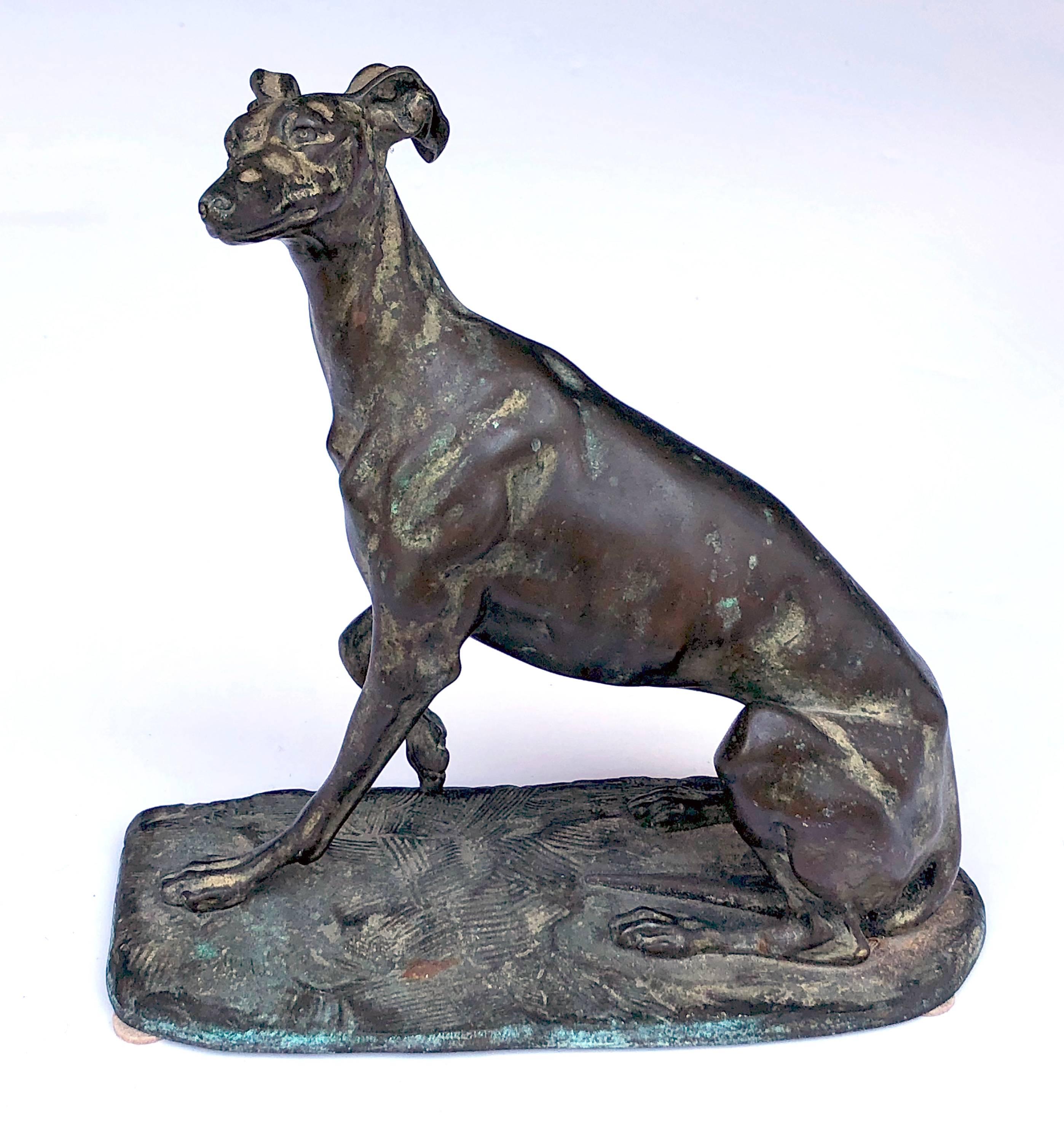 An expressive and well-executed bronze greyhound; possibly by Emmanuel Fremiet (Paris 1824-1910); this wonderfully expressive seated greyhound with head turned and paw raised.