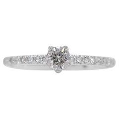 Exquisite 0.32ct Natural Diamond Pave Ring in 14K White Gold
