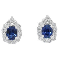 Exquisitos Pendientes Halo de Zafiro y Diamante Natural de 0,80 ct en Oro Blanco de 18 quilates