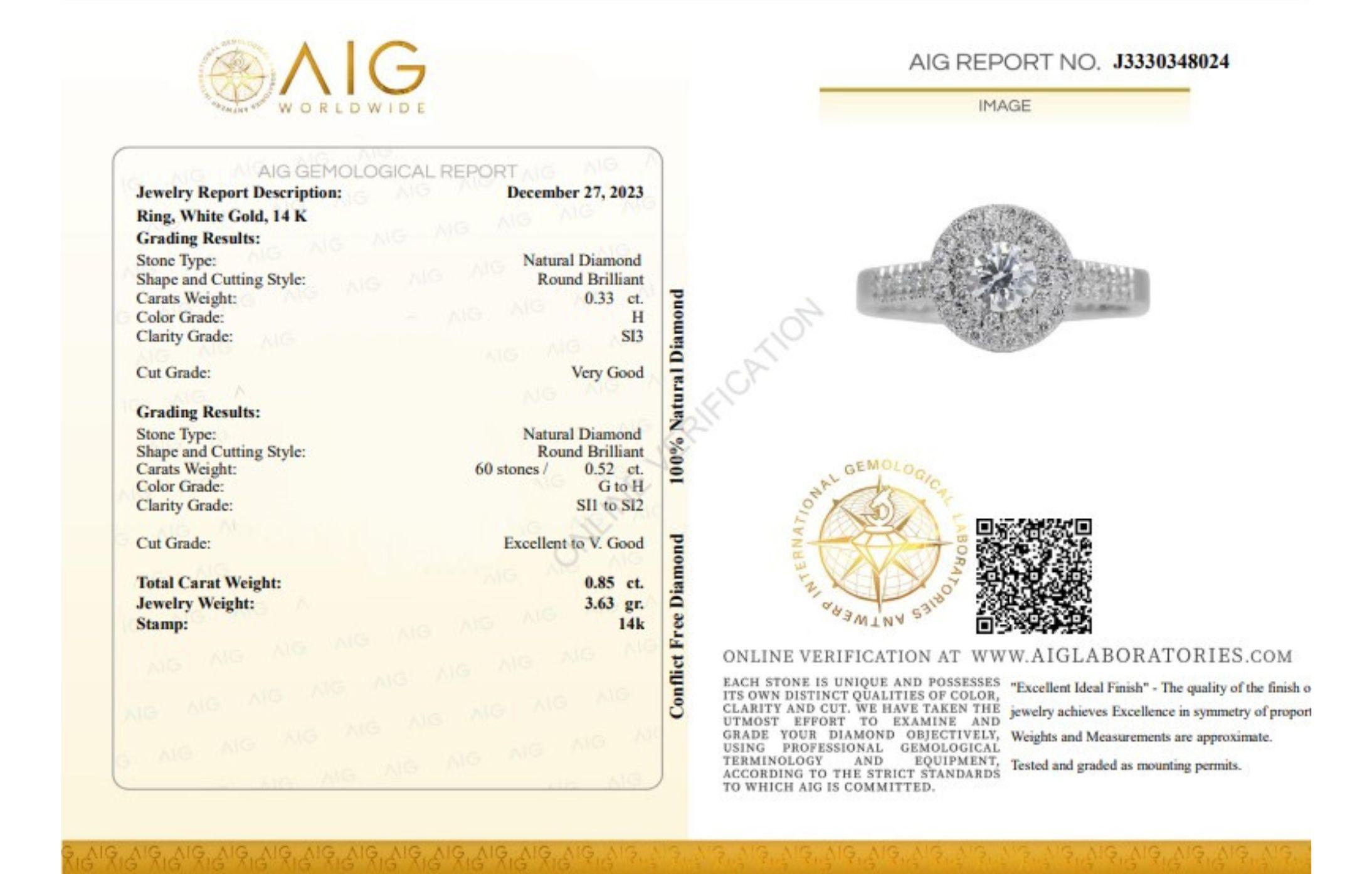 Exquisite 0.85ct Halo Ring in 14K White Gold For Sale 3