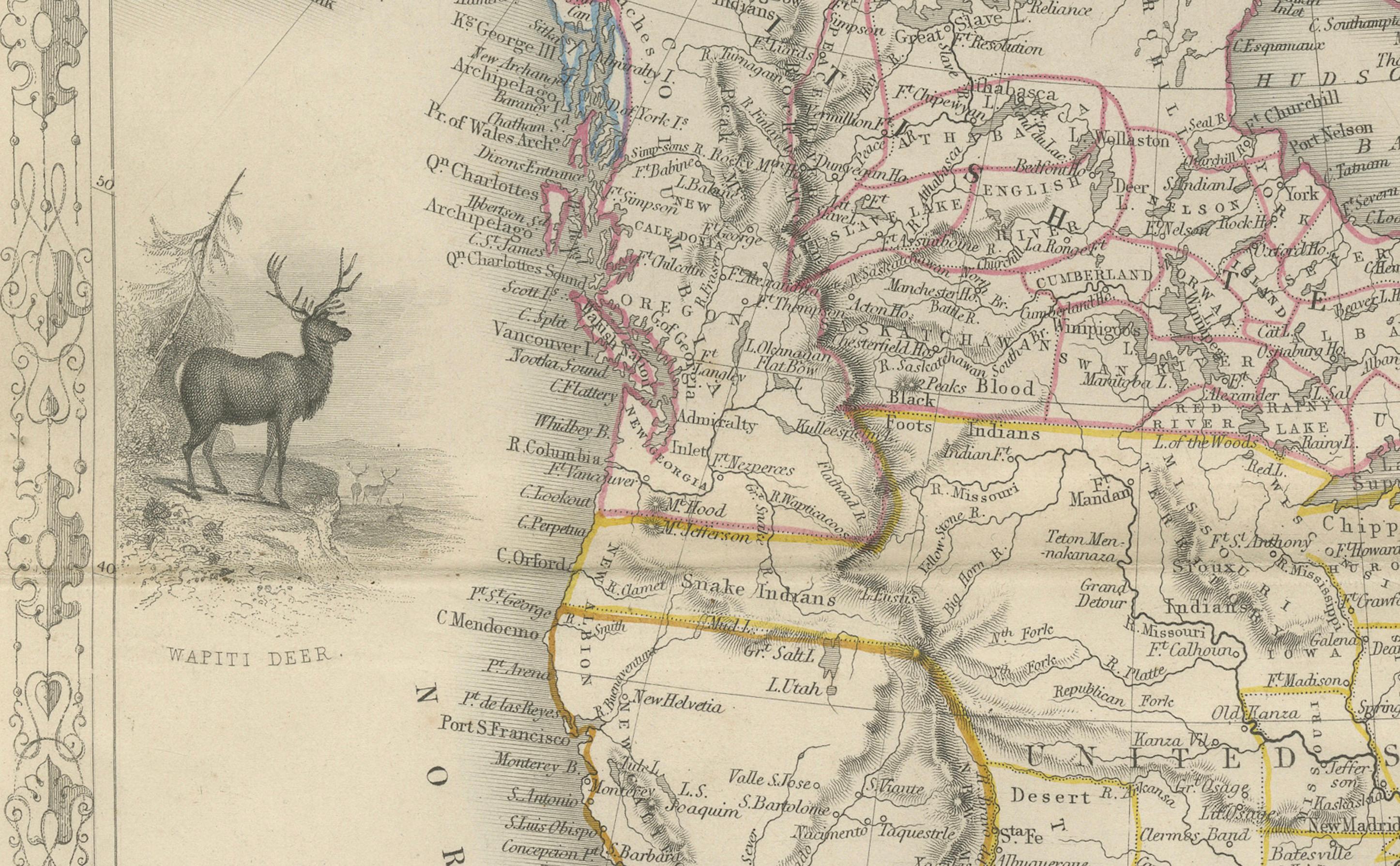 Paper Exquisite 1850s Vintage Map of North America: A Victorian Cartographic Treasure