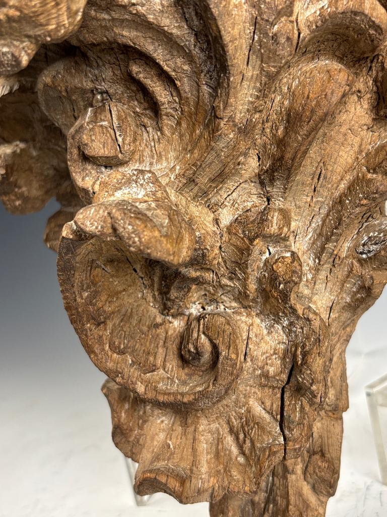Squisito scaffale angolare in legno di limo rococò fiammingo del XVIII secolo in vendita 2