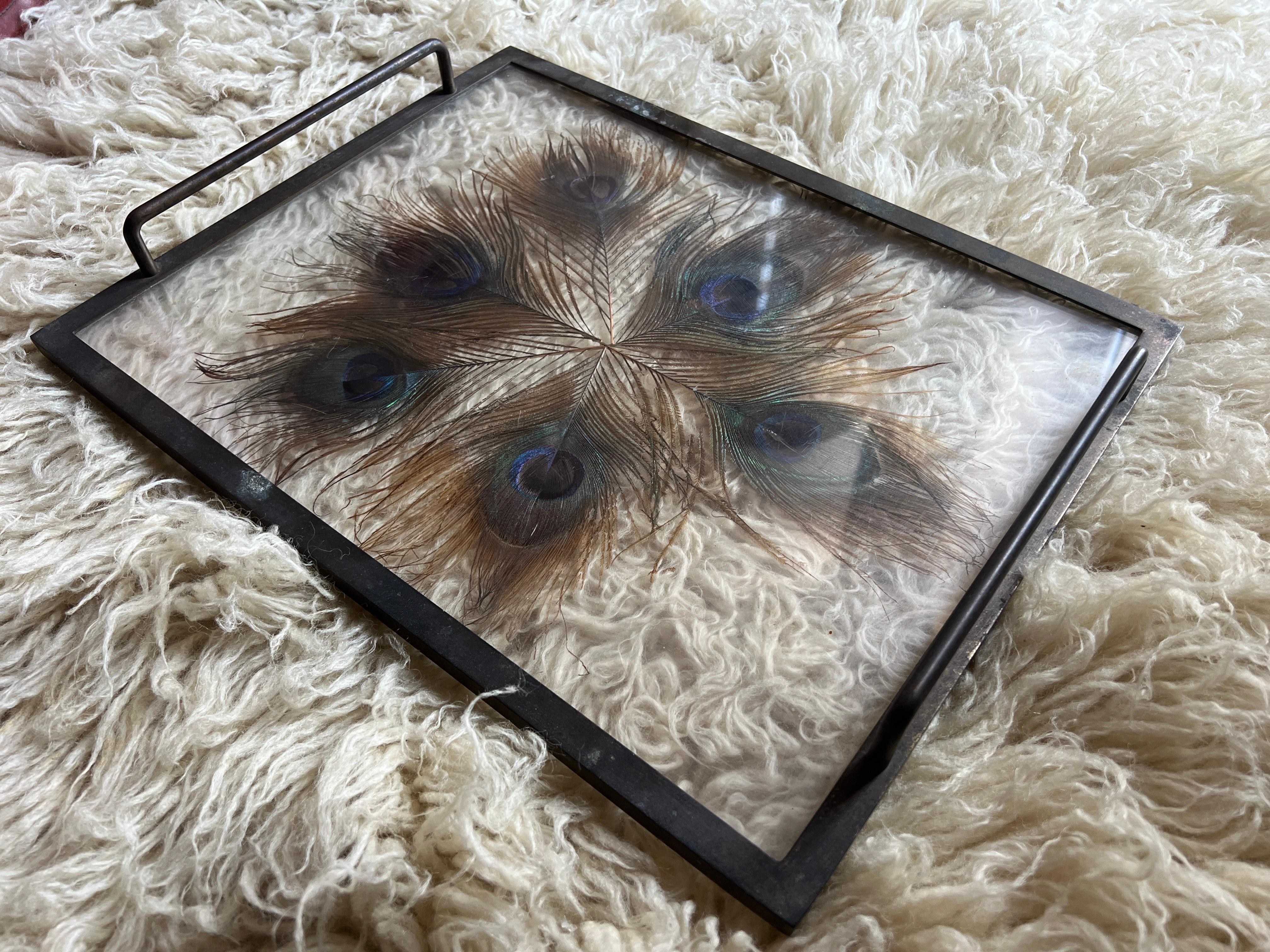 Italian Exquisite 1930s Brass Tray with Encased Peacock Feathers