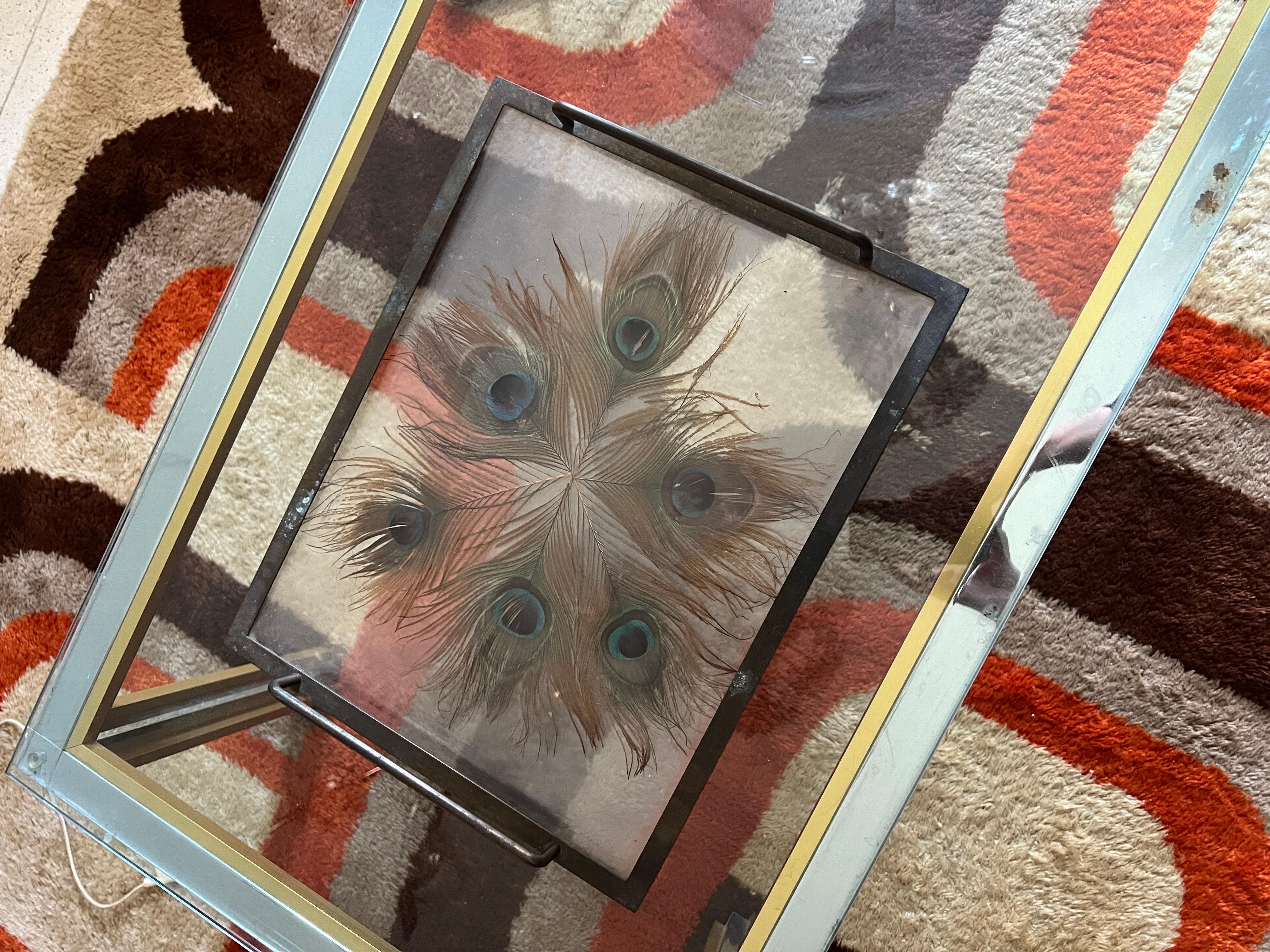 Exquisite 1930s Brass Tray with Encased Peacock Feathers In Good Condition In Palermo, PA