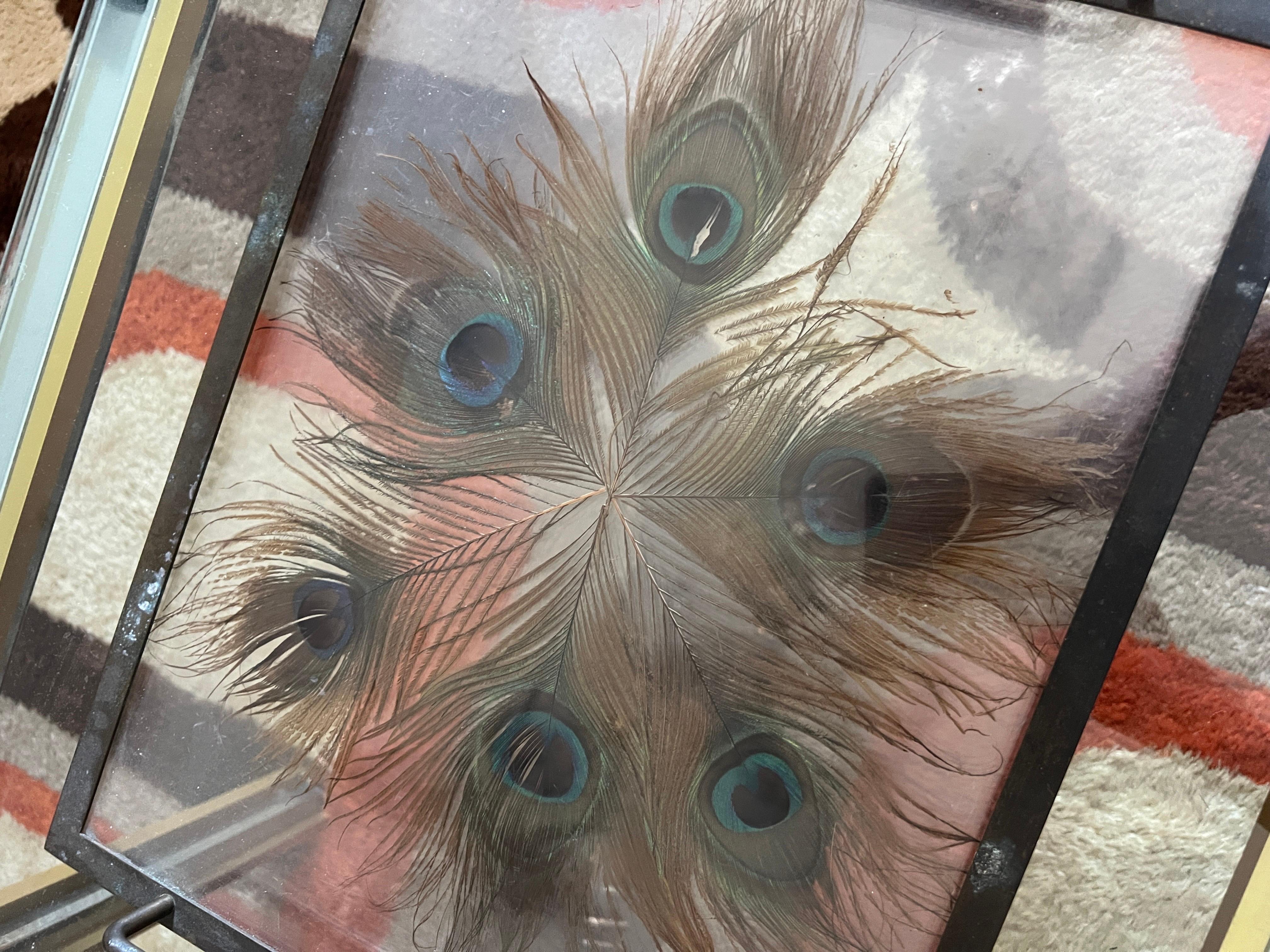 20th Century Exquisite 1930s Brass Tray with Encased Peacock Feathers