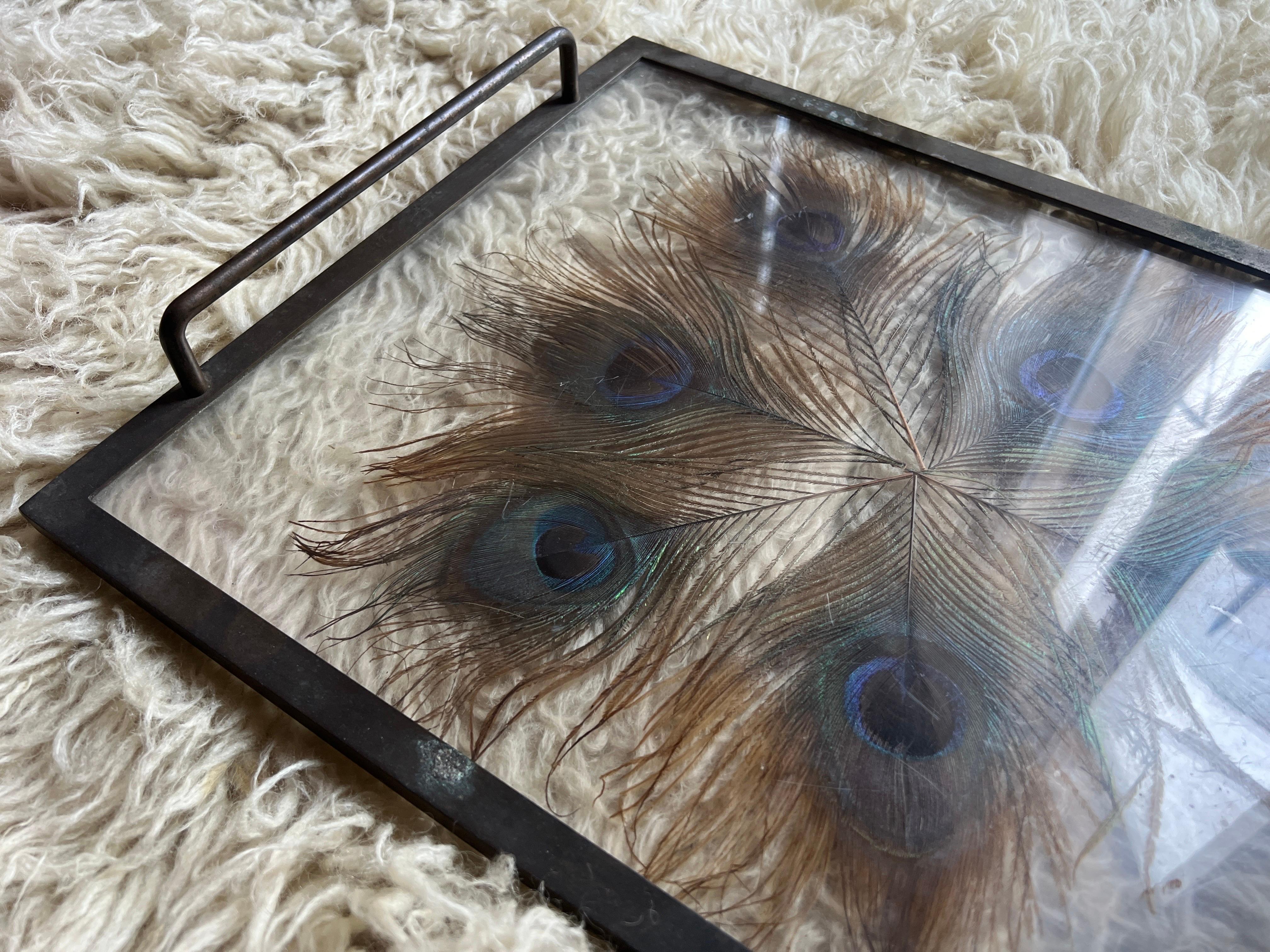 Exquisite 1930s Brass Tray with Encased Peacock Feathers 1