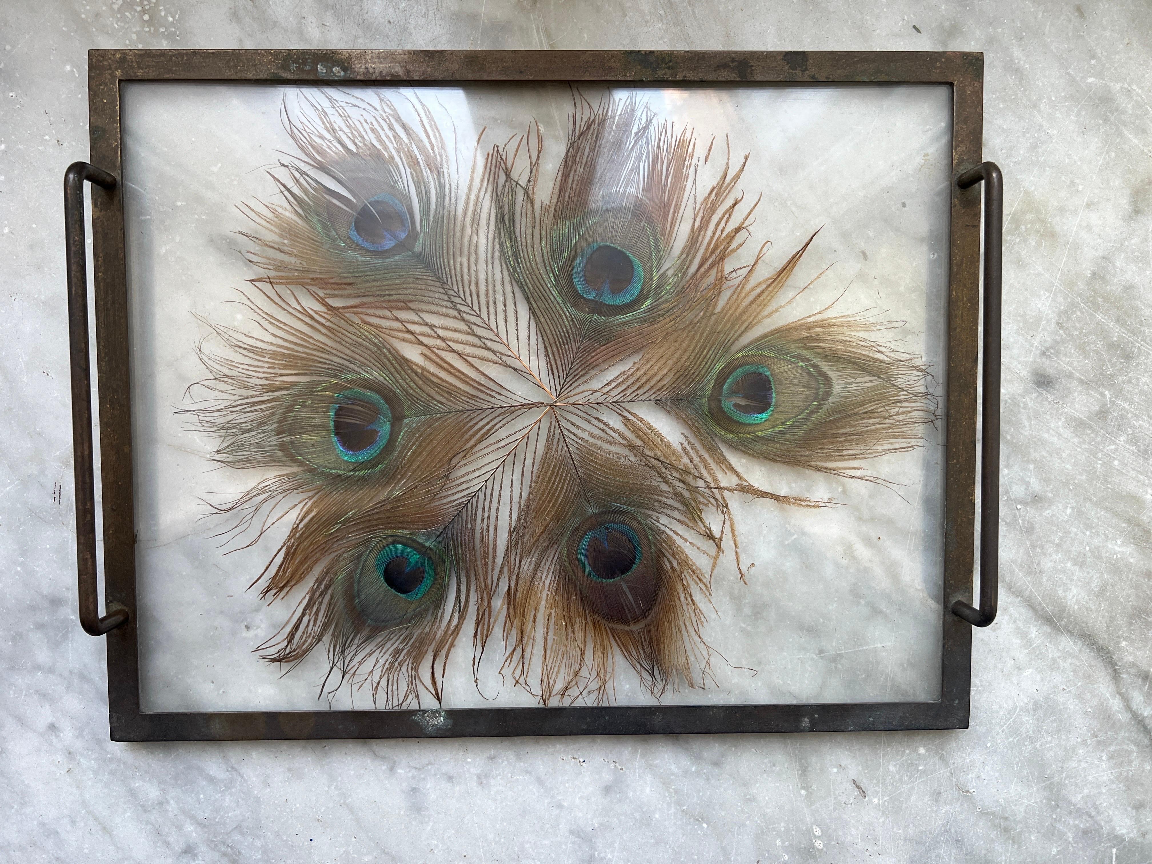 Exquisite 1930s Brass Tray with Encased Peacock Feathers 2