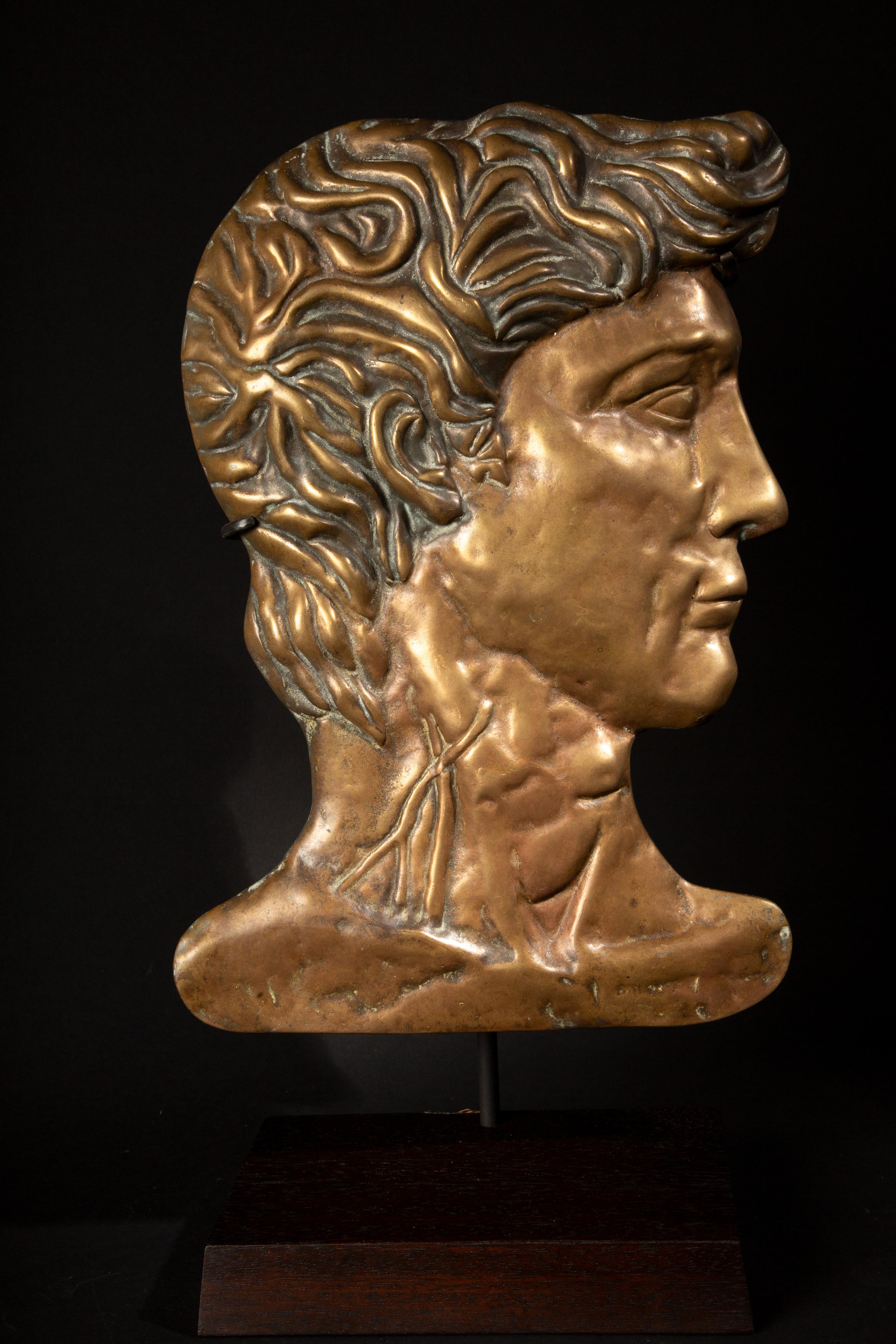 Renaissance Exquisite 19th-Century Bronze Profile Plaque of David 16.5