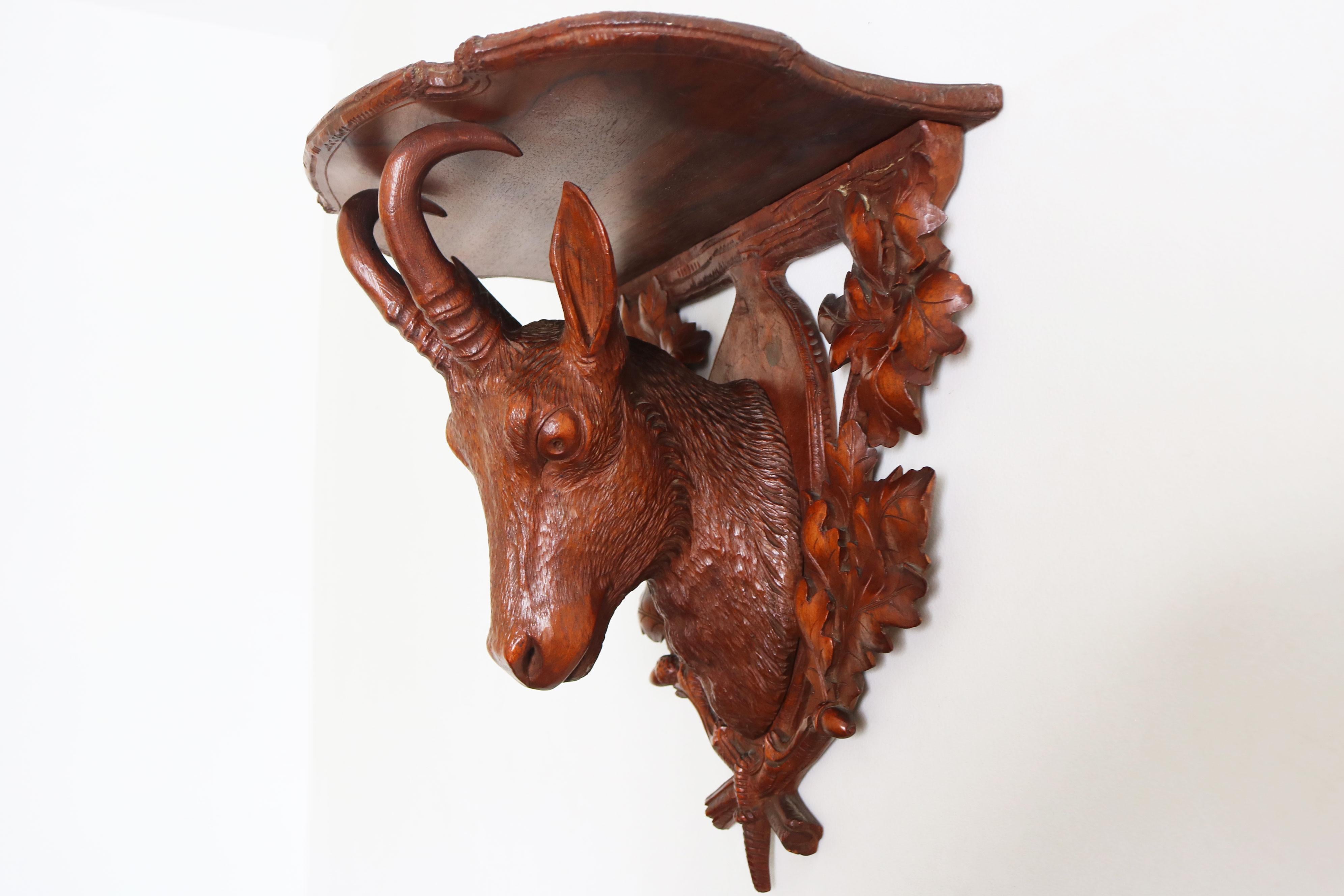 Splendida mensola da parete Black Forest del XIX secolo, intagliata a mano in Svizzera. 
Mostra uno splendido camoscio decorato con tronco d'albero intagliato, foglie multiple e ghiande. Tutti intagliati a mano con una superba attenzione ai dettagli