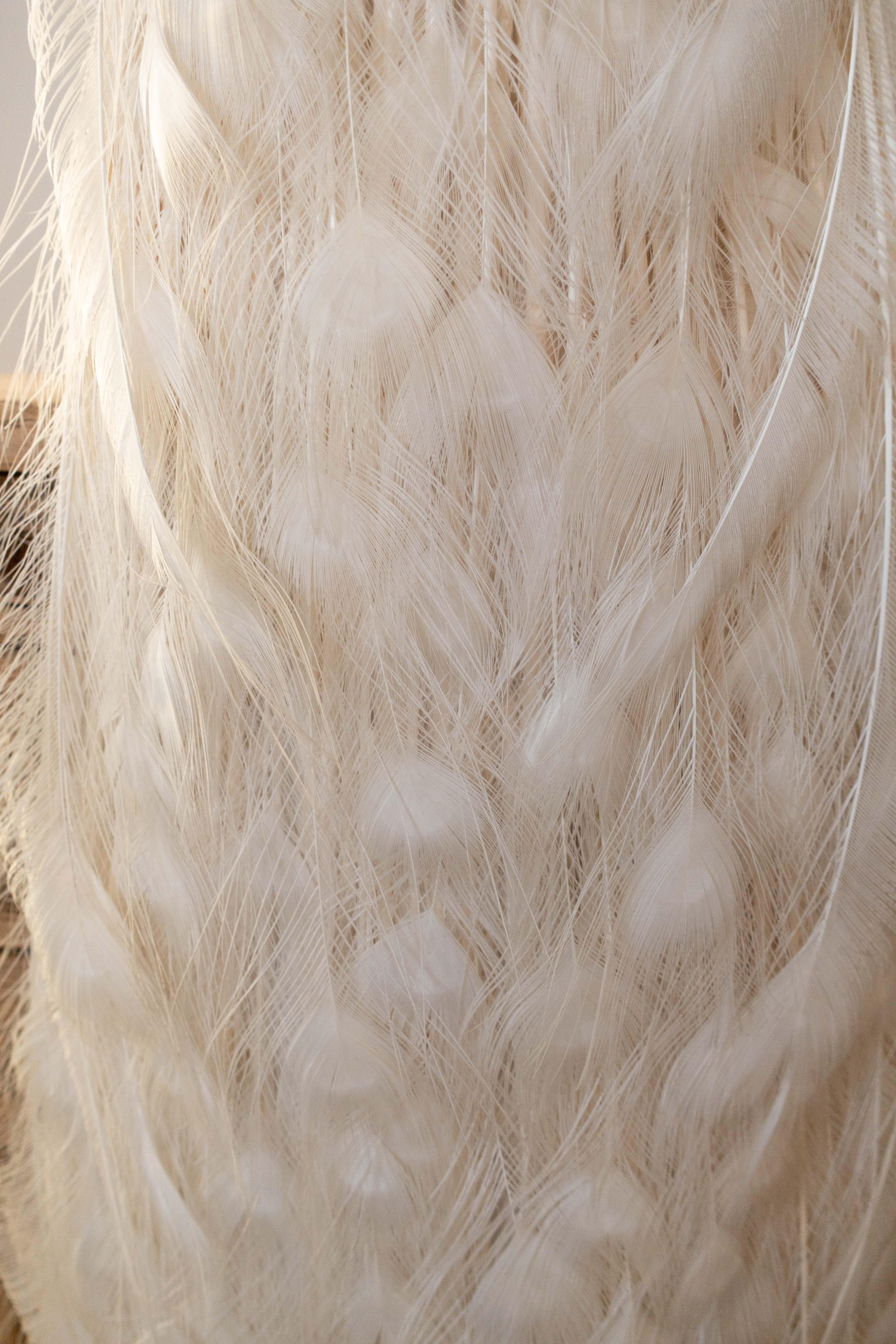 Dieses prächtige Präparat zeigt einen albinotischen (leuzistischen) Pfau, der kunstvoll auf einen ovalen Holzsockel montiert ist. Die komplizierten Details der einzigartigen Färbung des Pfaus sind makellos eingefangen, mit den makellosen weißen