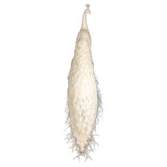 Exquisite Albino Peacock Taxidermy: A Majestic Display of Rarity and Elegance