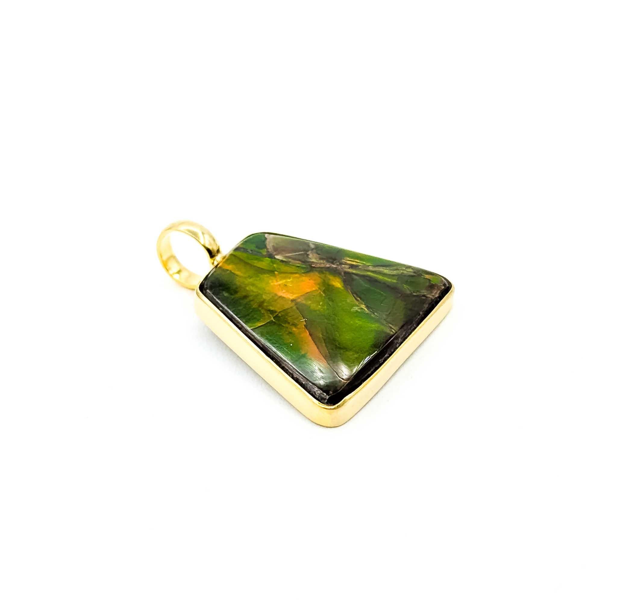Voici un magnifique pendentif en ammolite serti dans un chaton en or jaune 18 carats. Le pendentif met en valeur une étonnante ammolite de forme libre, capturant sans effort l'essence de la beauté naturelle avec son jeu de couleurs vibrantes.

La