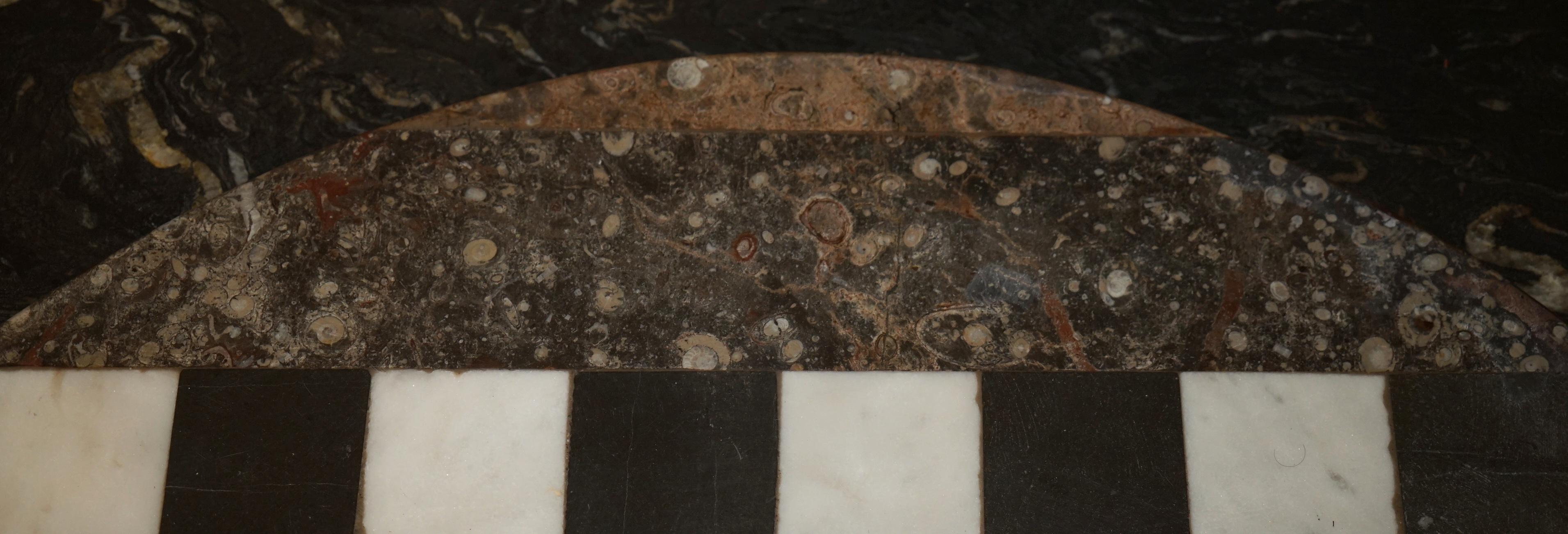 EXQUISITE ANTiQUE EXTRA LARGE FOSSIL TOP CHESSBOARD TABLE TOP IN MARBLE For Sale 5