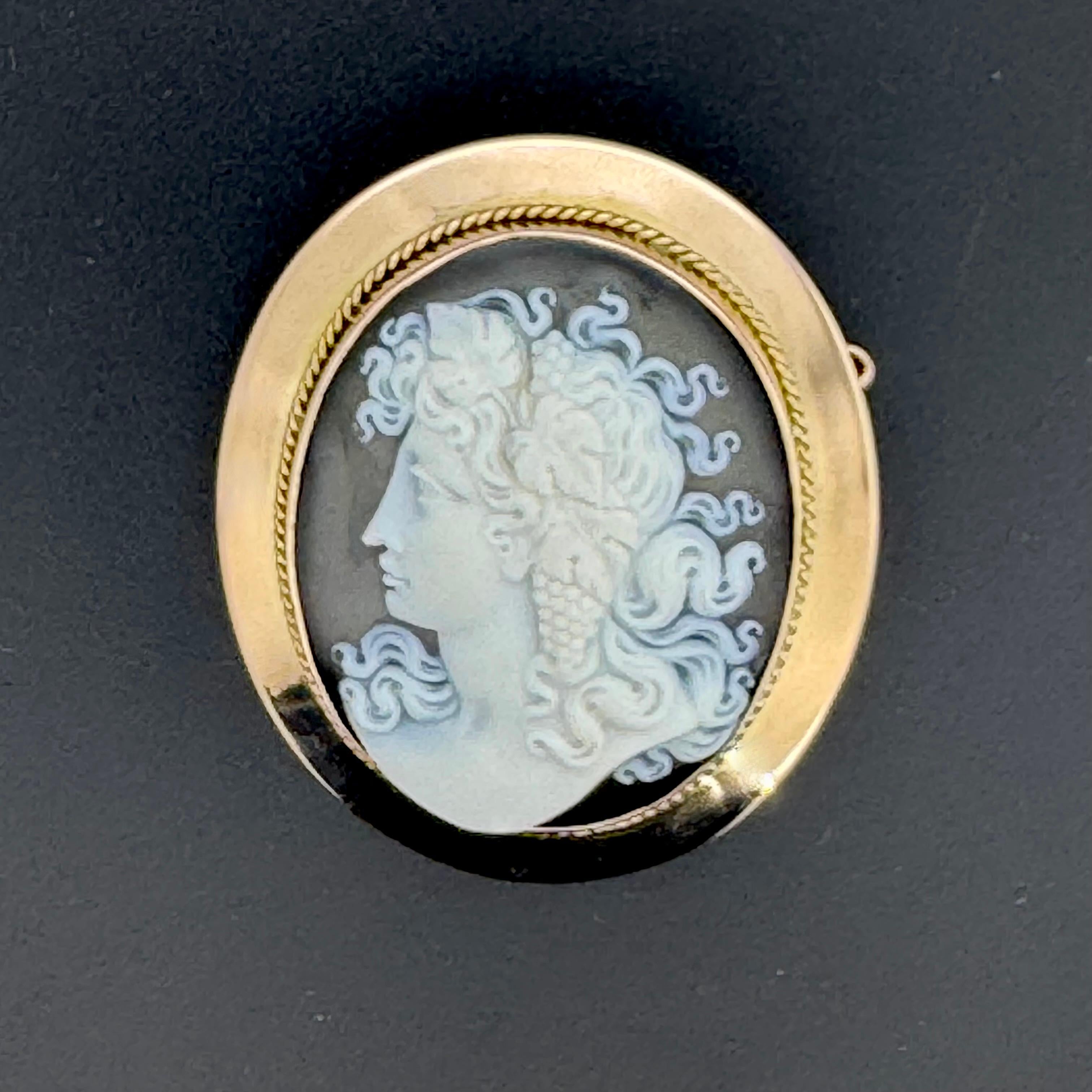 Oval Cut Exquisite antique Victorian agate cameo brooch in an elegant gold frame For Sale