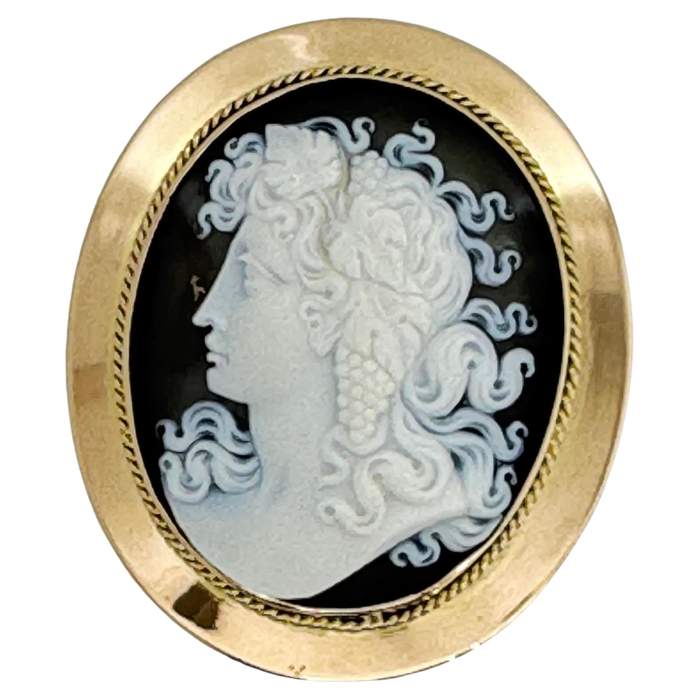 Exquisite antique Victorian agate cameo brooch in an elegant gold frame