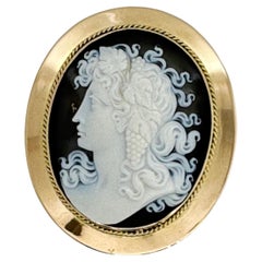 Exquisite Antique Victorian agate cameo brooch in an elegant gold frame