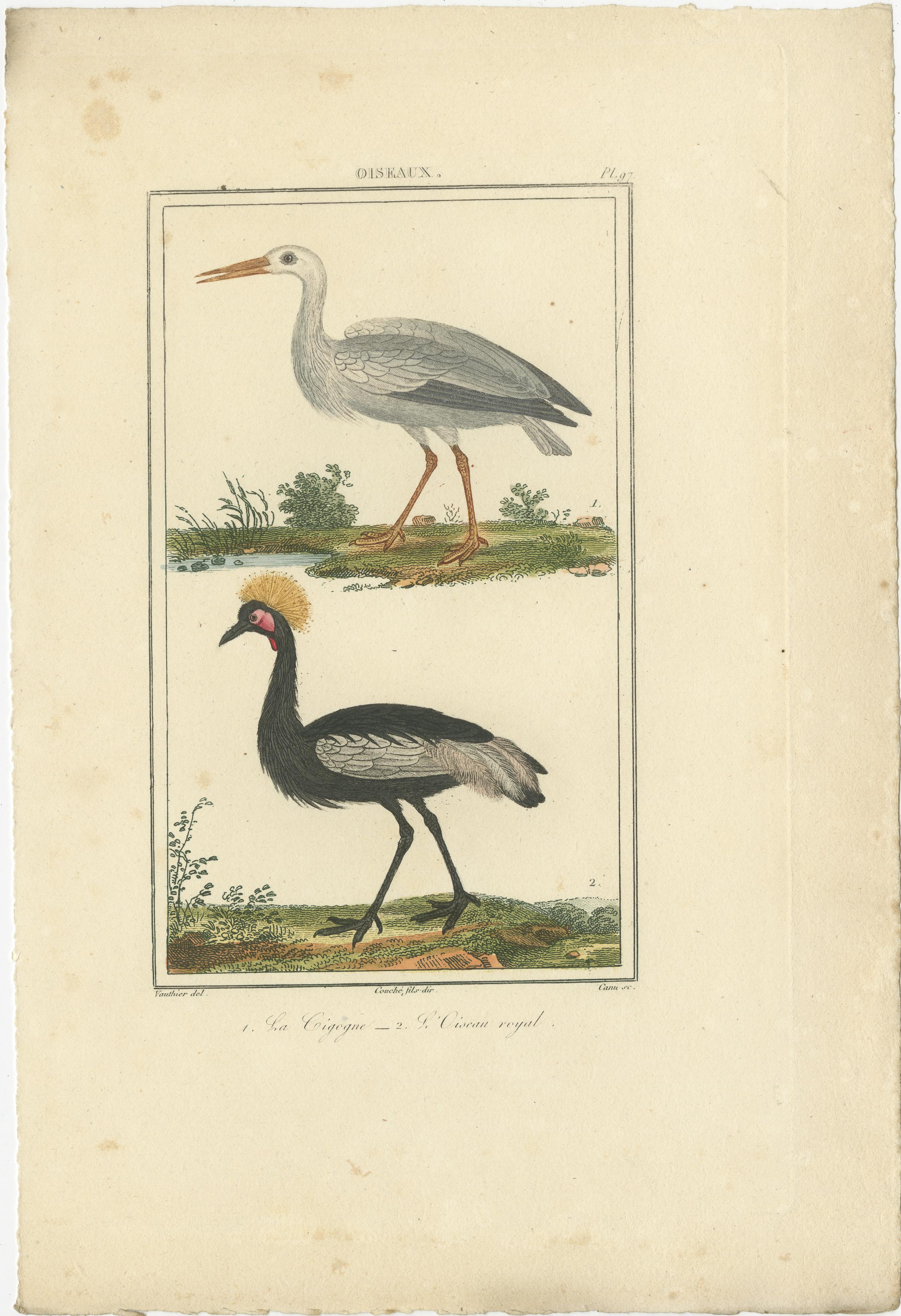 Les gravures de l'Histoire naturelle des oiseaux de Georges-Louis Leclerc, comte de Buffon, ont été réalisées entre le milieu et la fin du XVIIIe siècle. L'œuvre considérable de Buffon sur l'histoire naturelle a été publiée sur plusieurs années, les