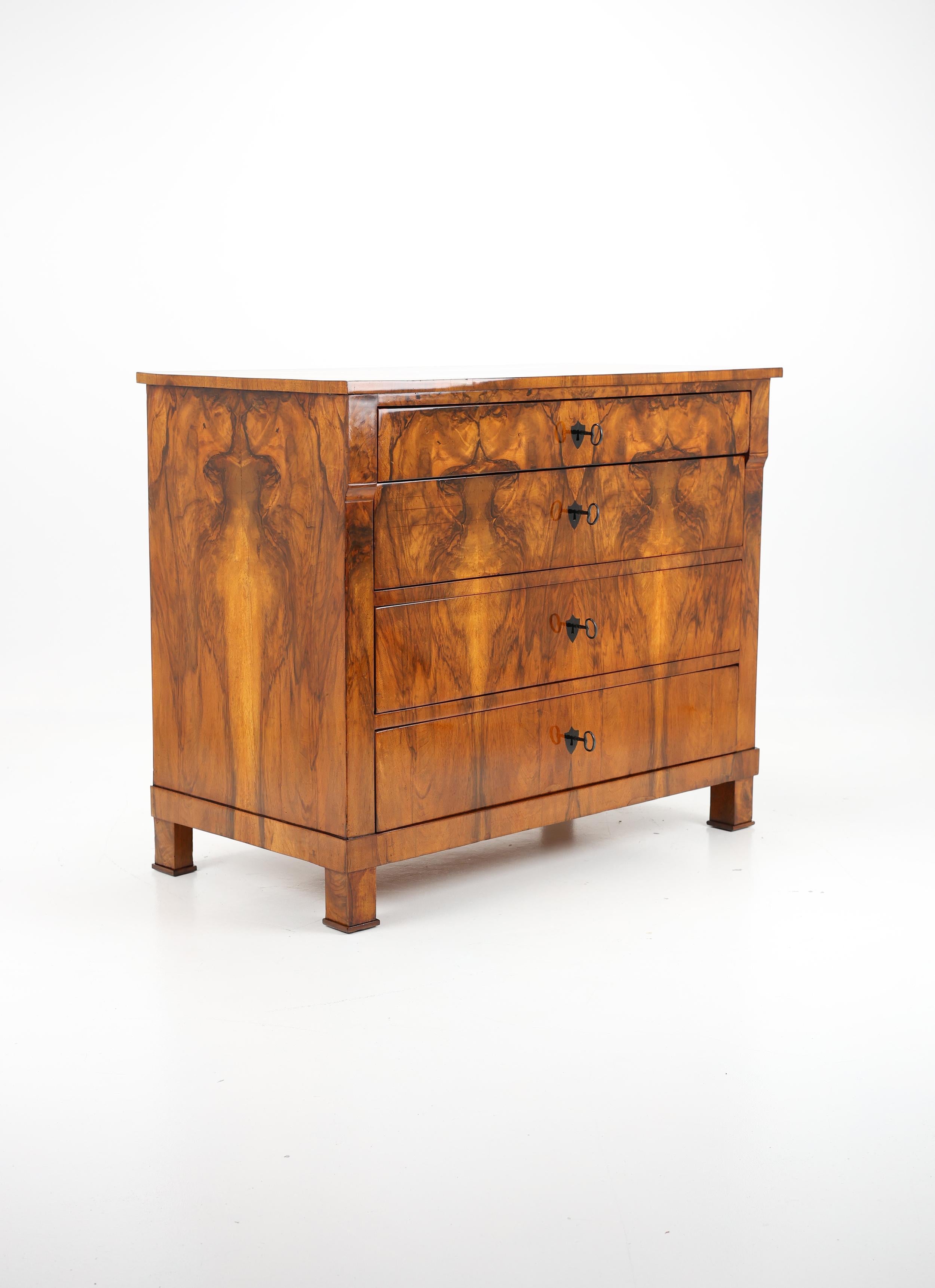 Exquisite Biedermeier Commode, Circa 1820 For Sale 5