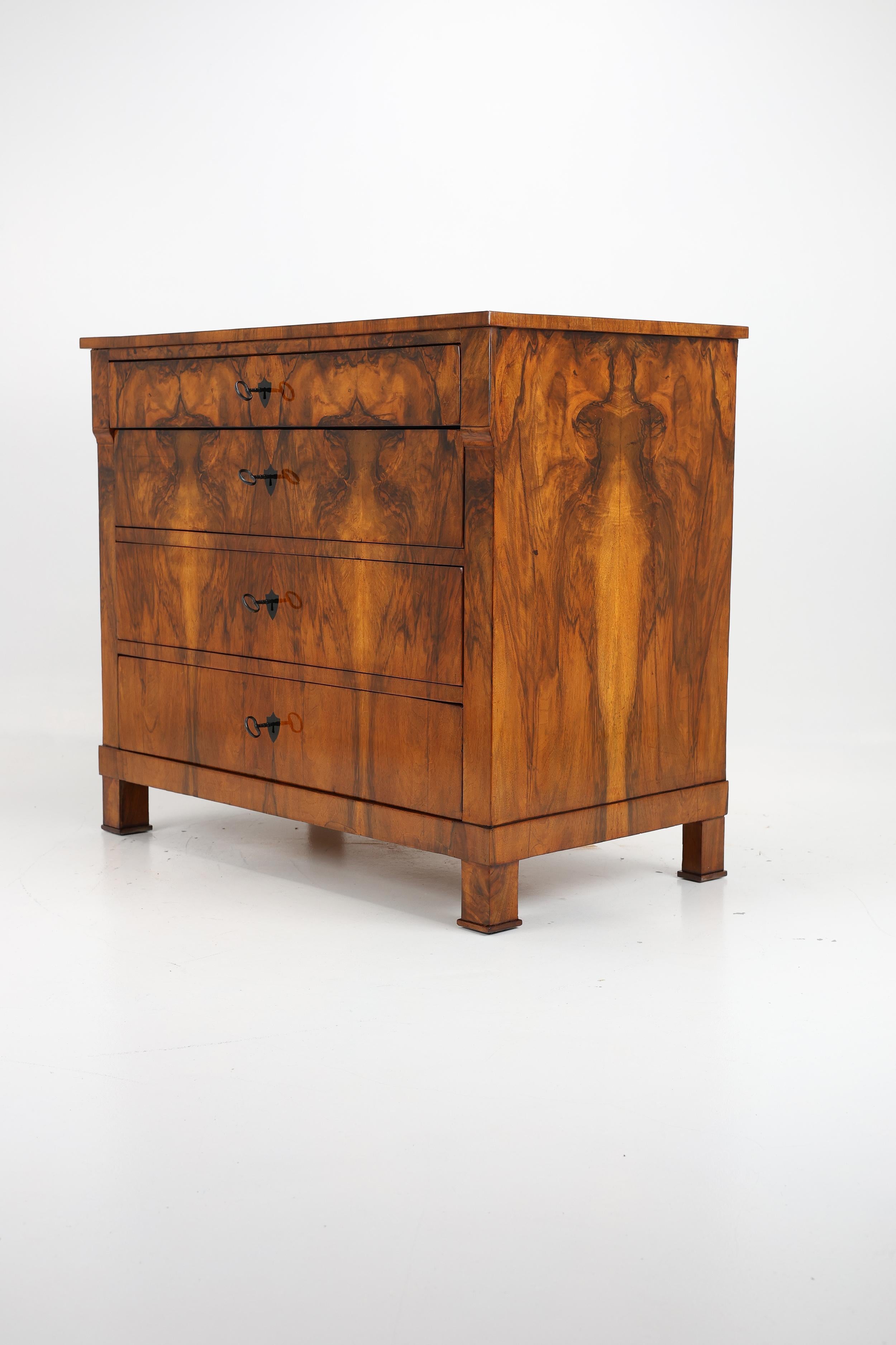 Exquisite Biedermeier Commode, Circa 1820 For Sale 6