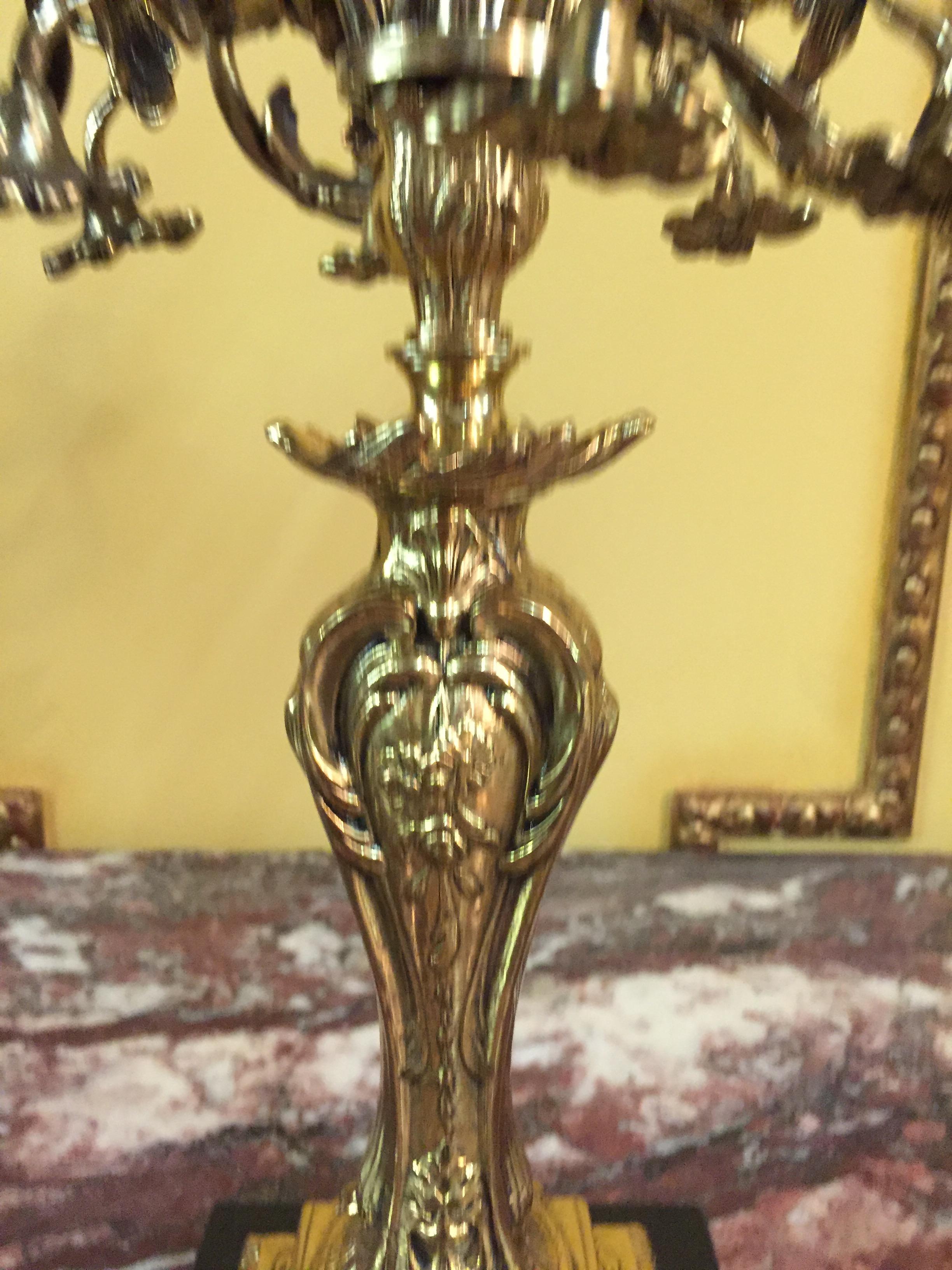 Exquisite Candelabra in Rococo Style For Sale 2