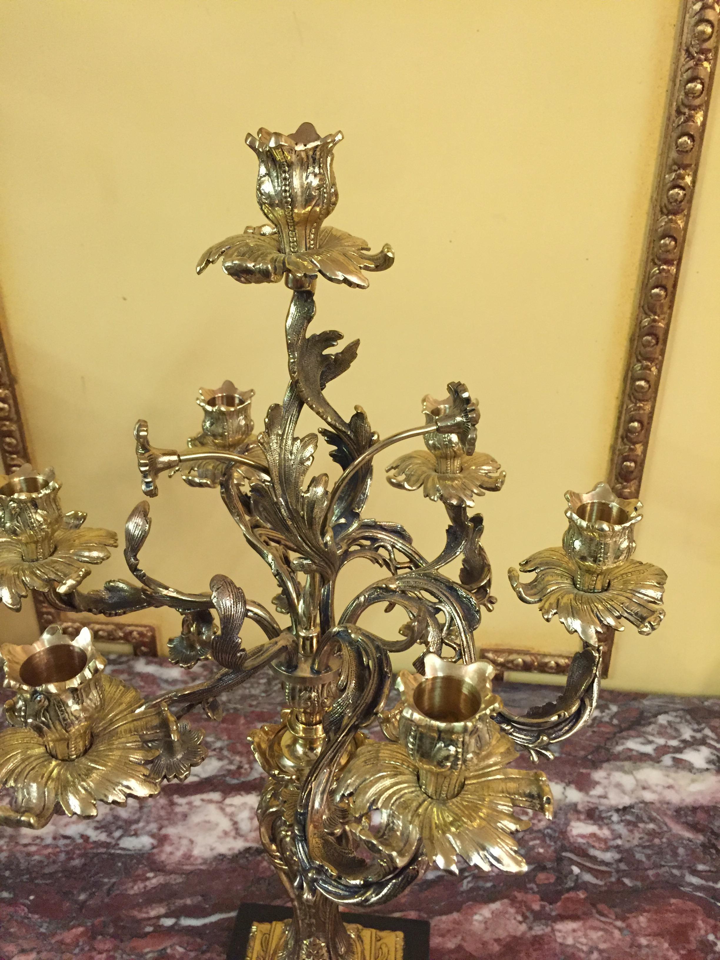 Exquisite Candelabra in Rococo Style For Sale 3