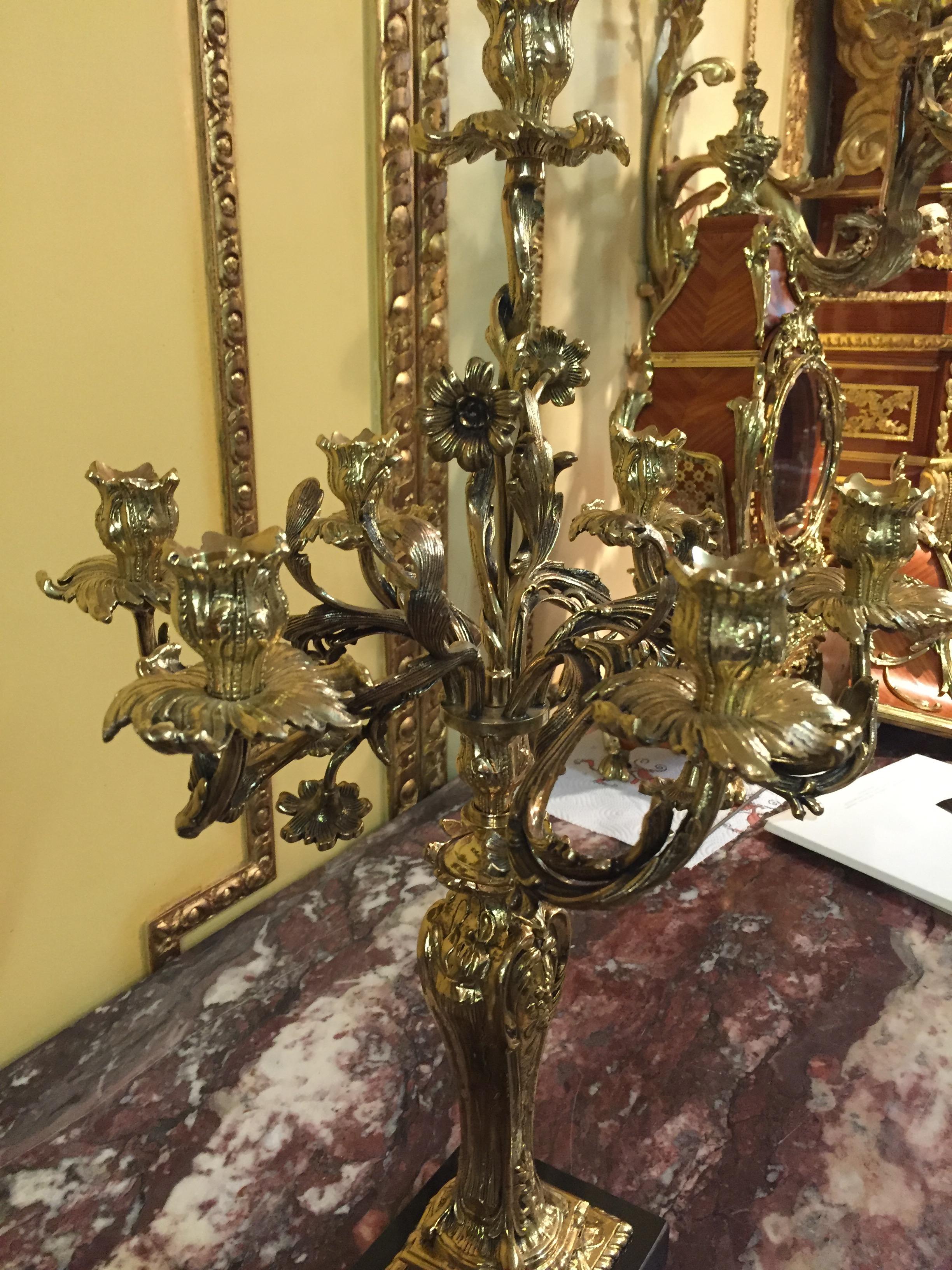 Exquisite Candelabra in Rococo Style For Sale 4