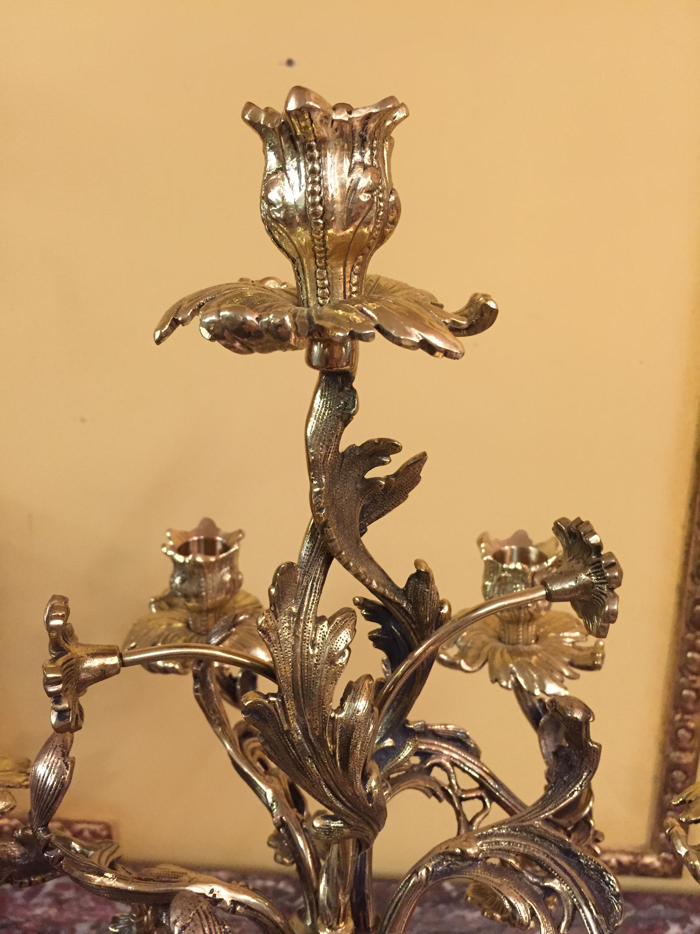 Exquisite Candelabra in Rococo Style For Sale 6