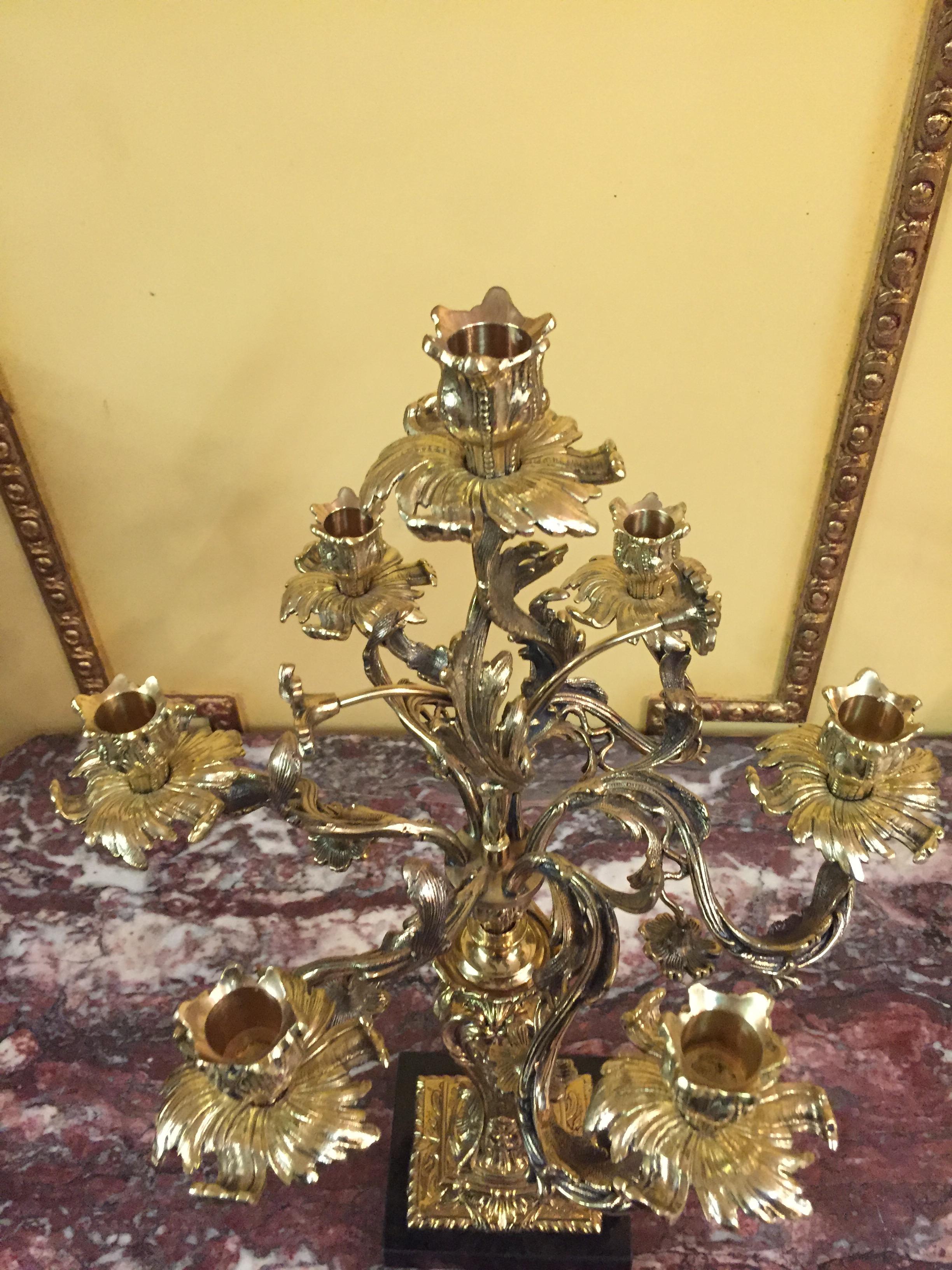 Exquisite Candelabra in Rococo Style For Sale 7