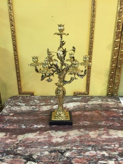 Exquisite Candelabra in Rococo Style