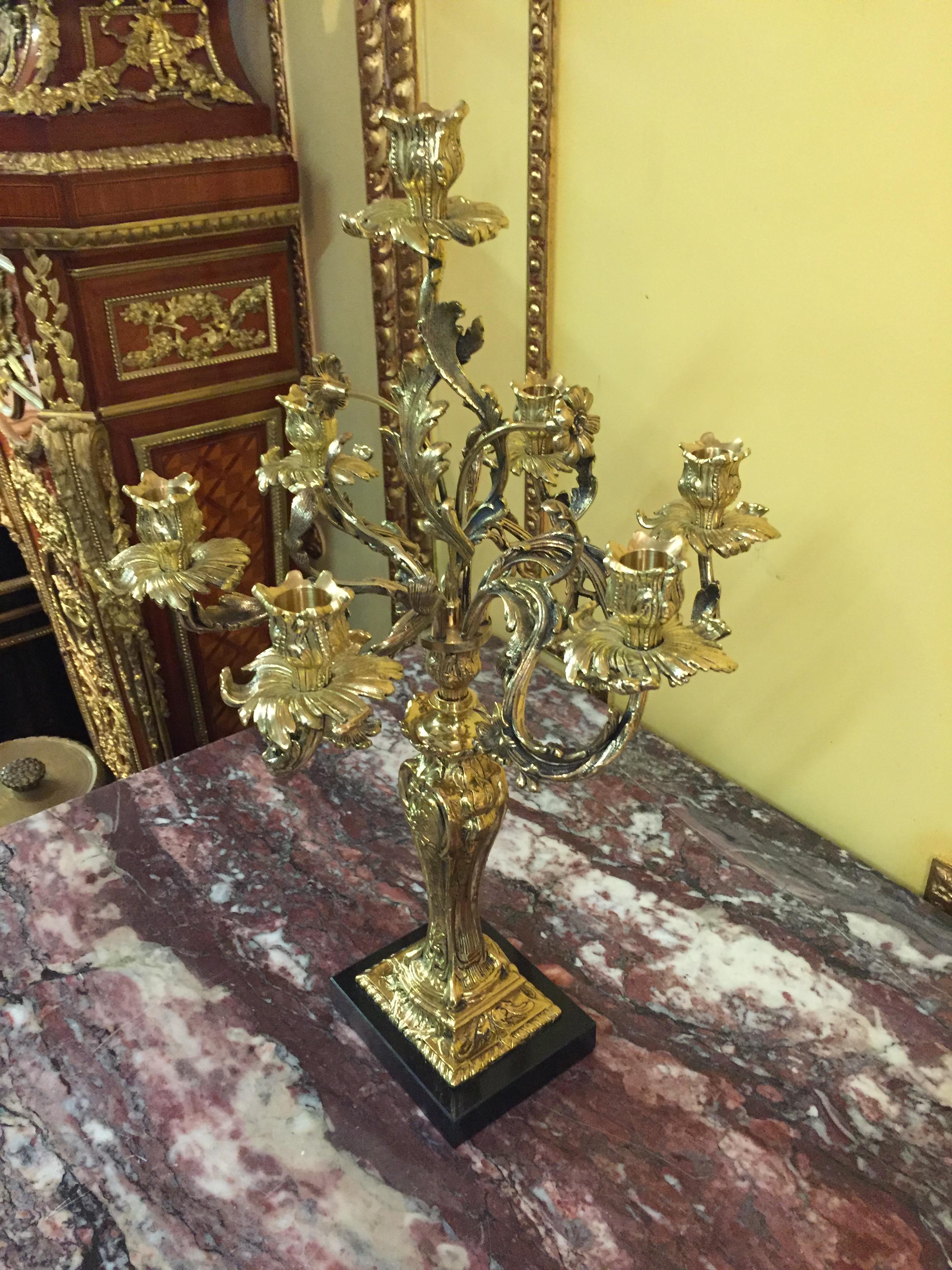 Bronzed Exquisite Candelabra in Rococo Style For Sale