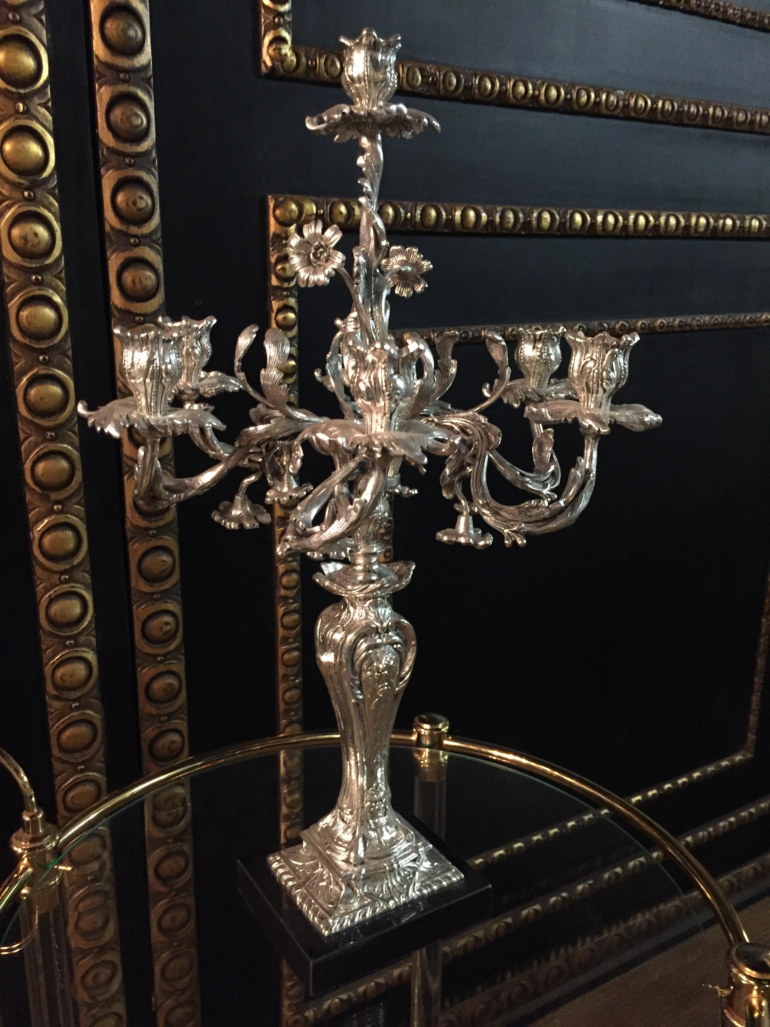 20th Century Exquisite Candelabra in Rococo Style For Sale