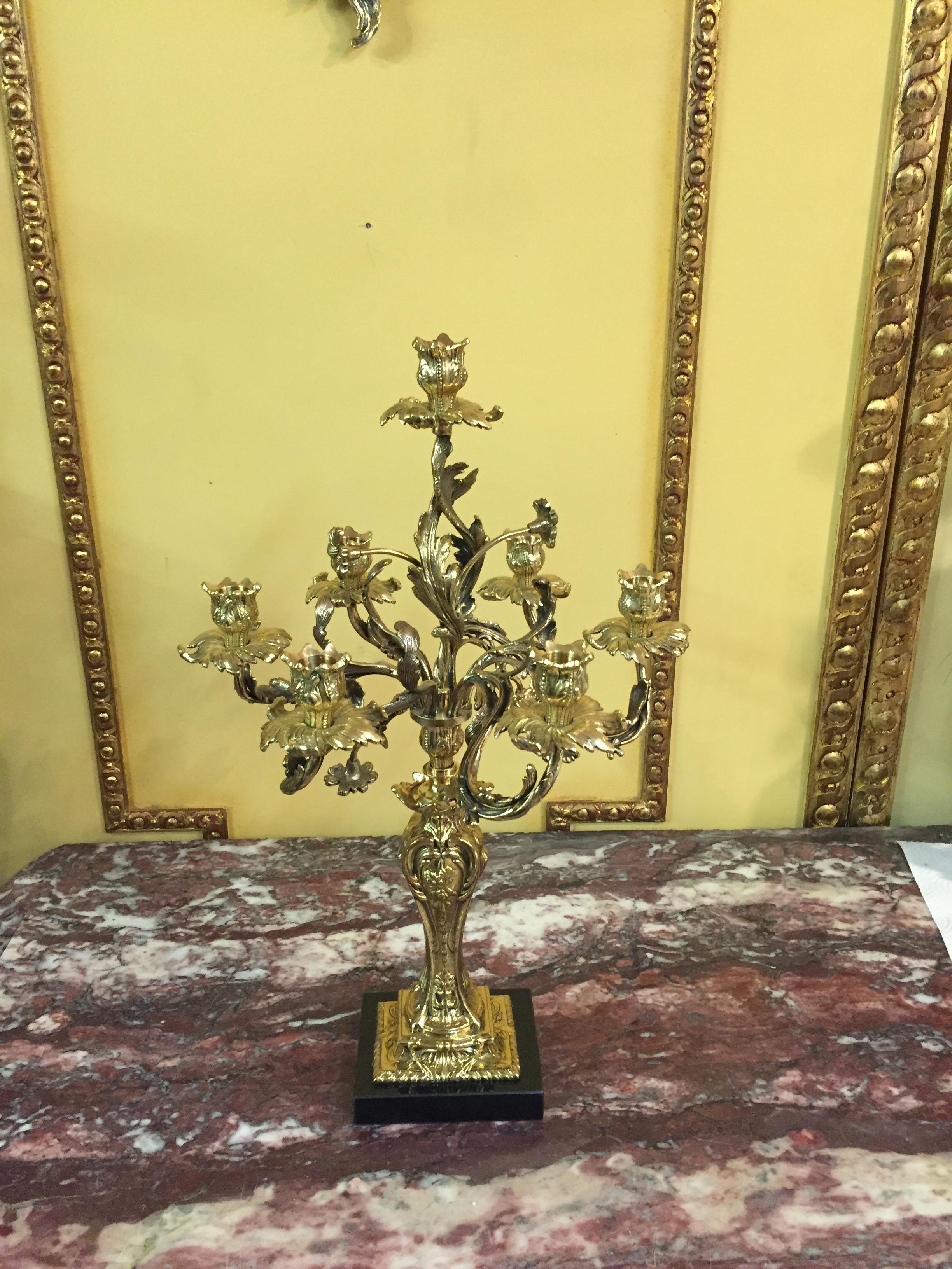 Exquisite Candelabra in Rococo Style In Good Condition For Sale In Berlin, DE