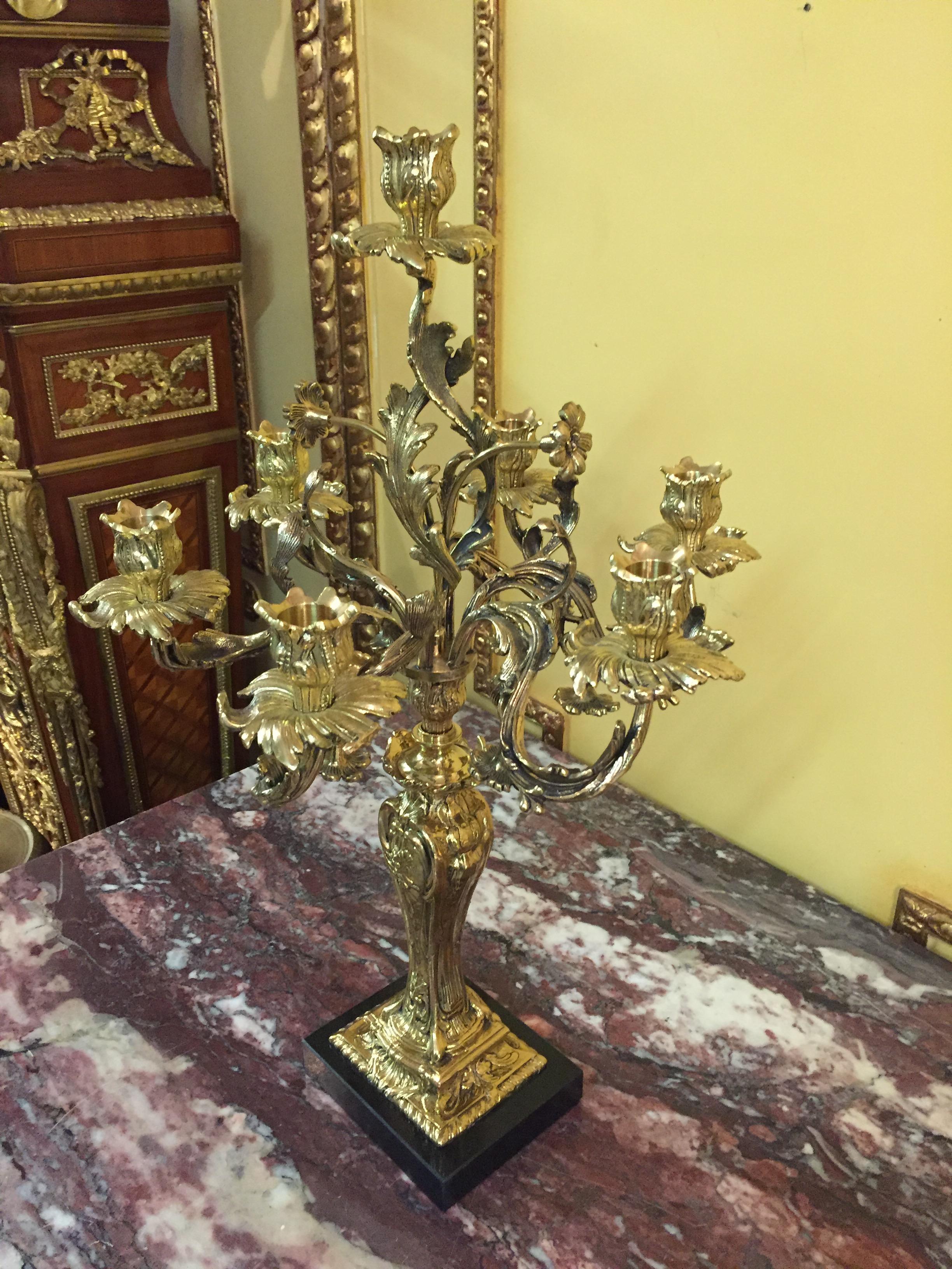 20th Century Exquisite Candelabra in Rococo Style For Sale