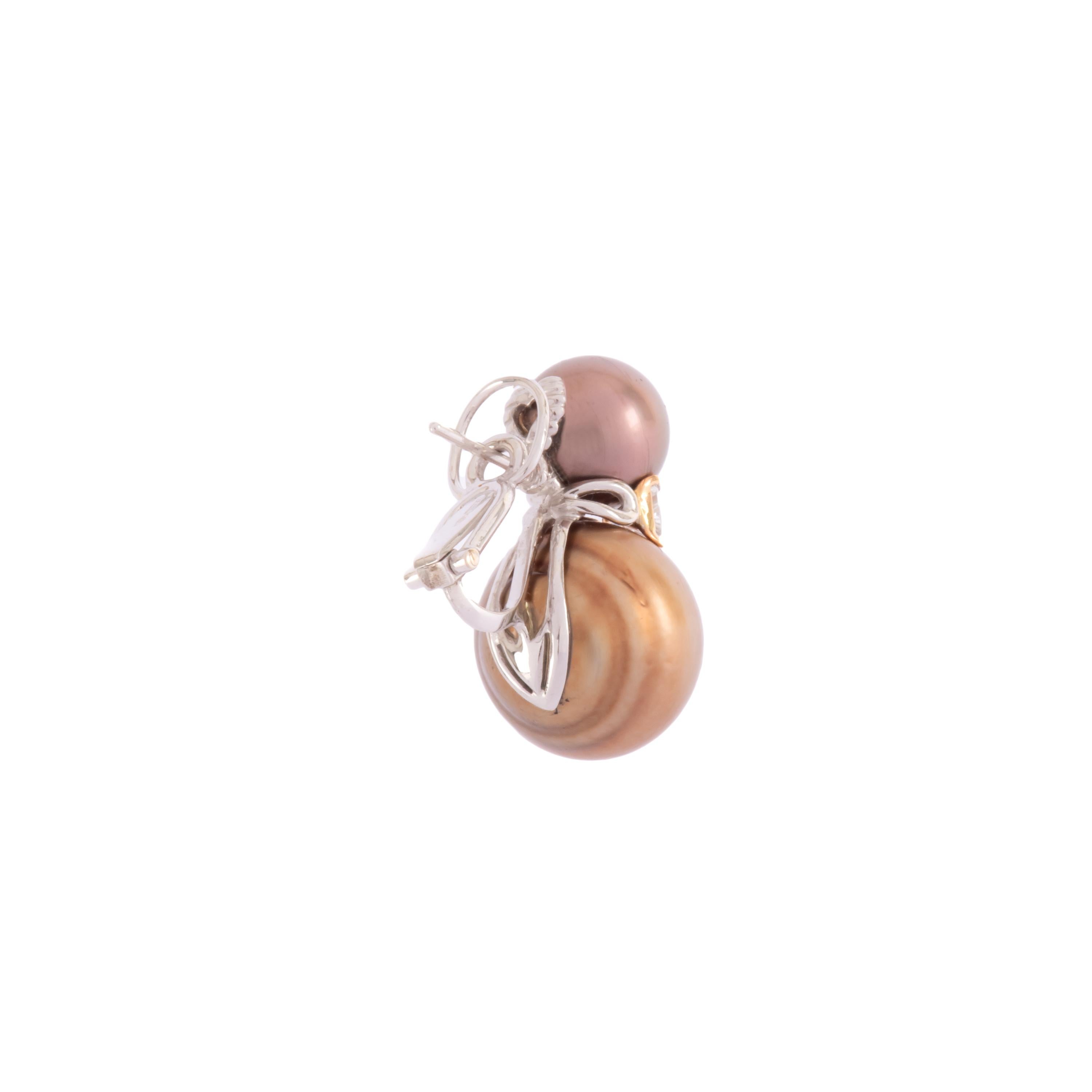 tahiti earrings- brown