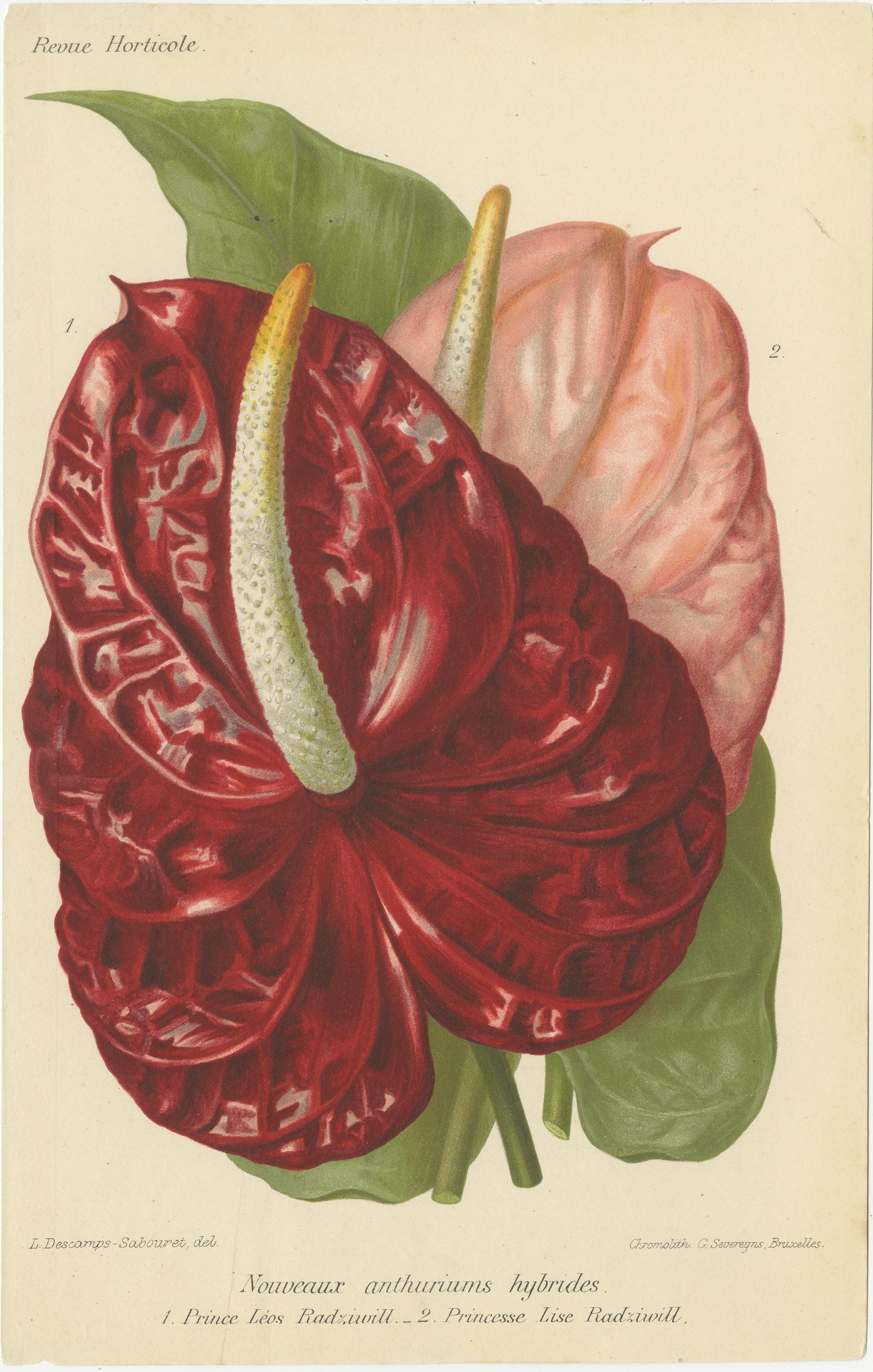 Mid-19th Century Exquisite Flora: A Chromolithographic Collection from the Revue Horticole, 1855 For Sale