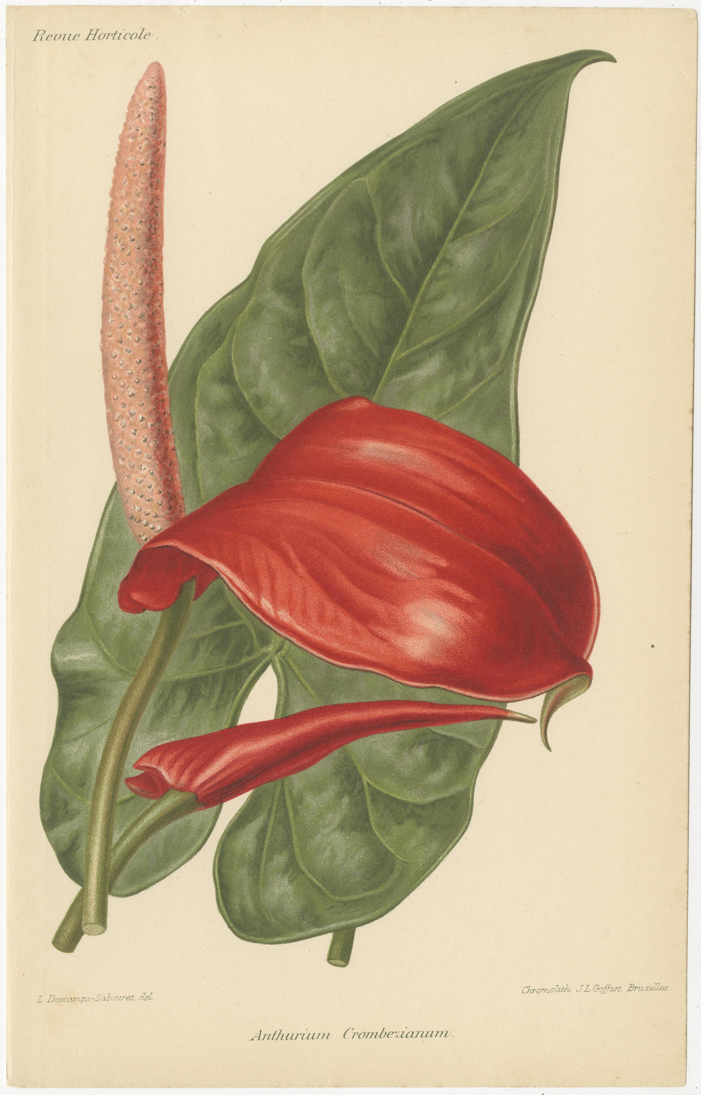 Exquisite Flora: A Chromolithographic Collection from the Revue Horticole, 1855 For Sale 2