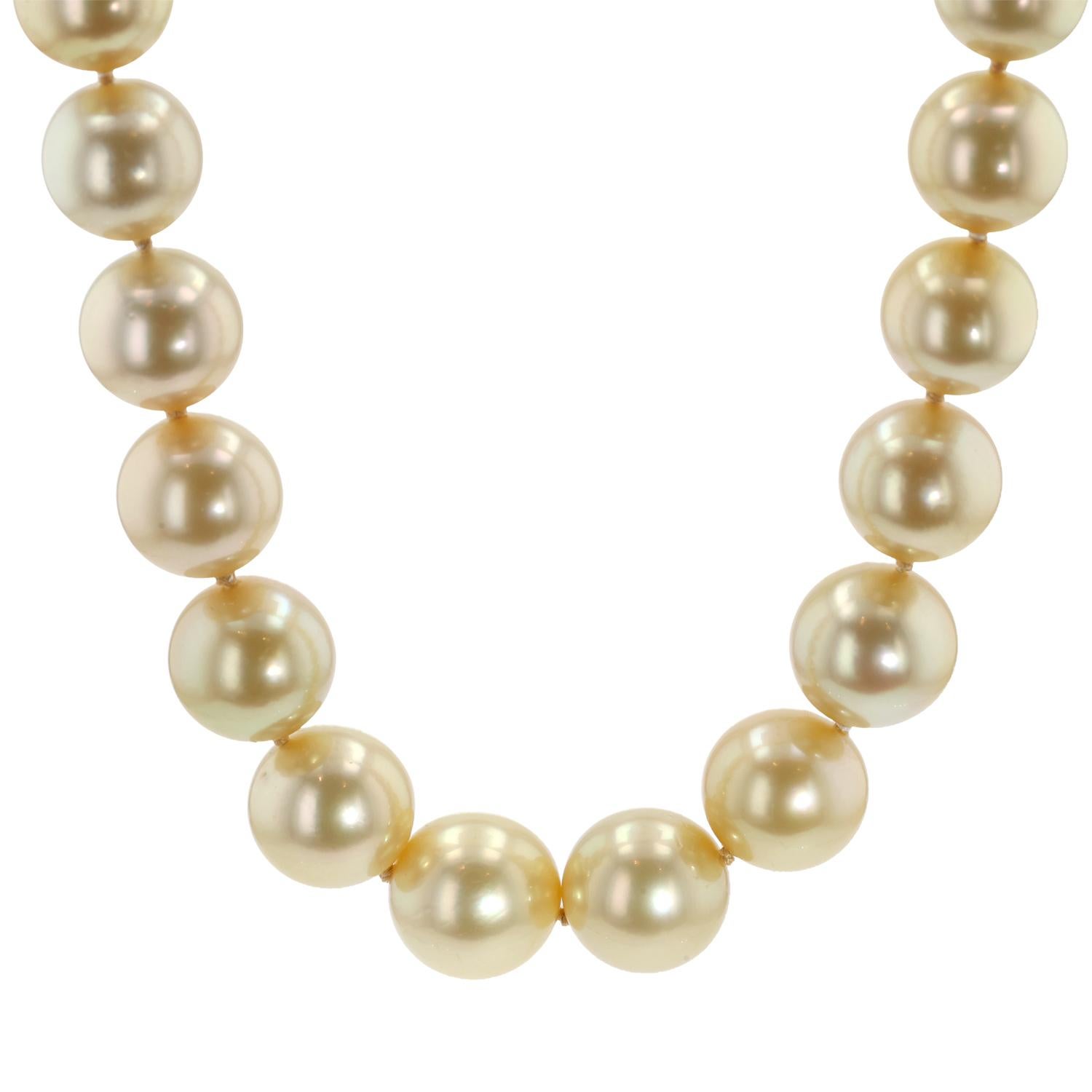 Eleganza senza tempo e bellezza radiosa per questo squisito filo di perle dorate dei mari del sud, meticolosamente realizzato dagli stimati designer di Tara & Sons. Questa lussuosa collana presenta 65 perle dorate dei Mari del Sud perfettamente