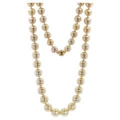 Exquisite Golden South Sea Pearl Strand,  18K Yellow Gold Clasp by Tara & Sons