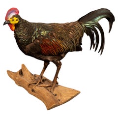Exquisite Green Jungle Fowl Taxidermy on Natural Wooden Base